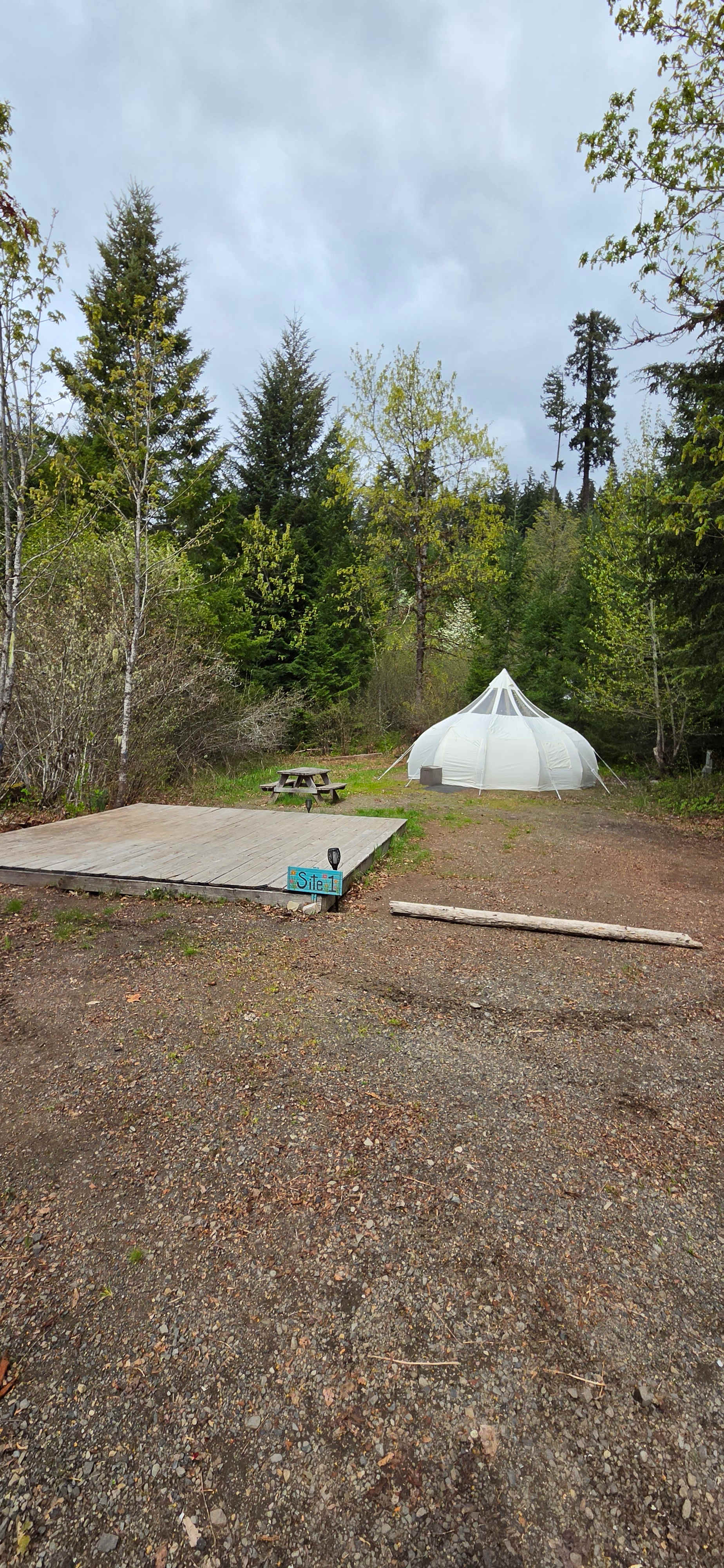 Picture of the site