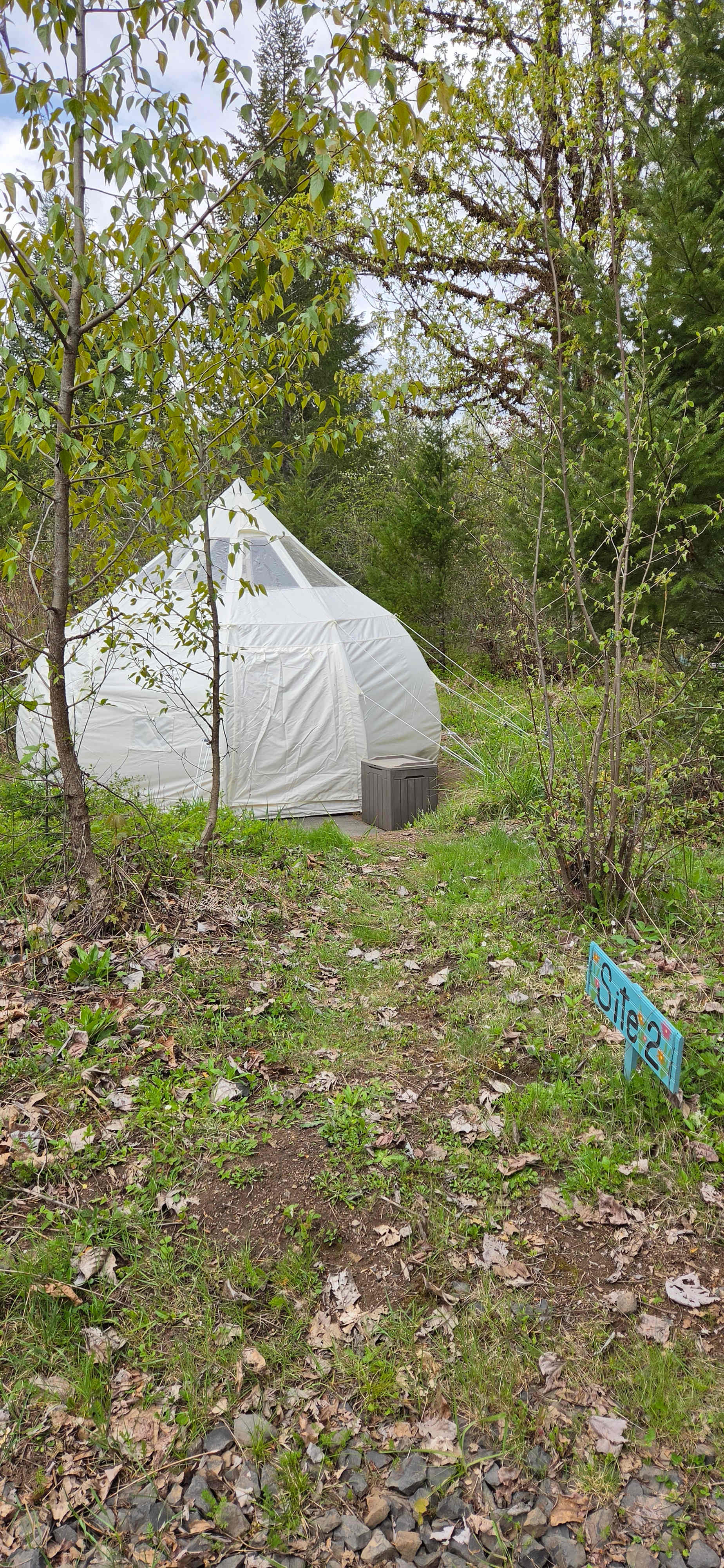 Picture of the site