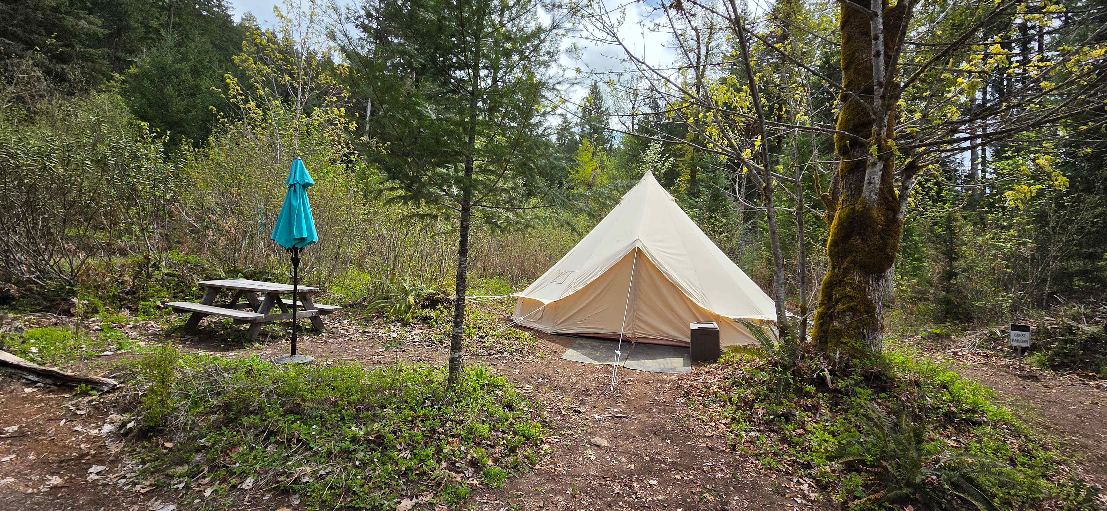 Picture of the site