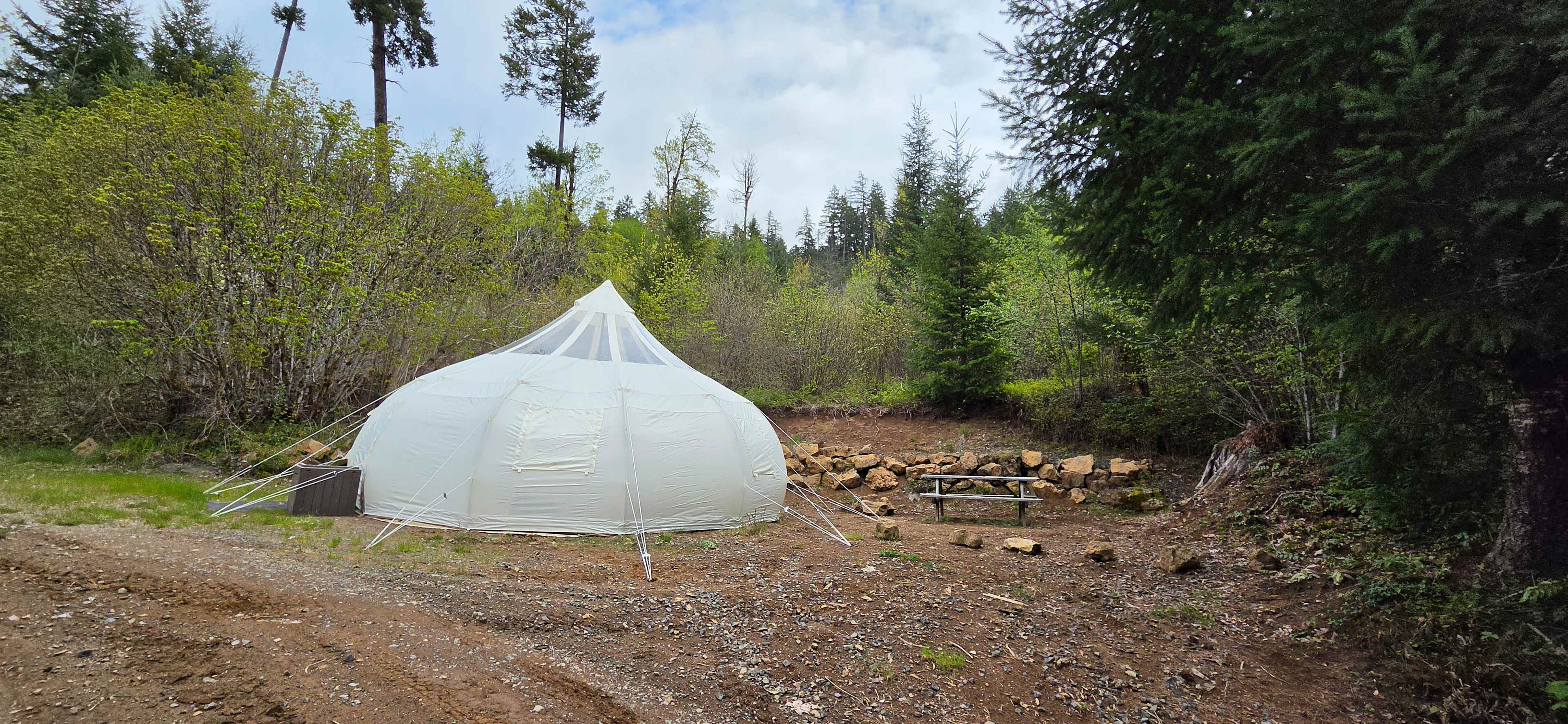 Picture of the site