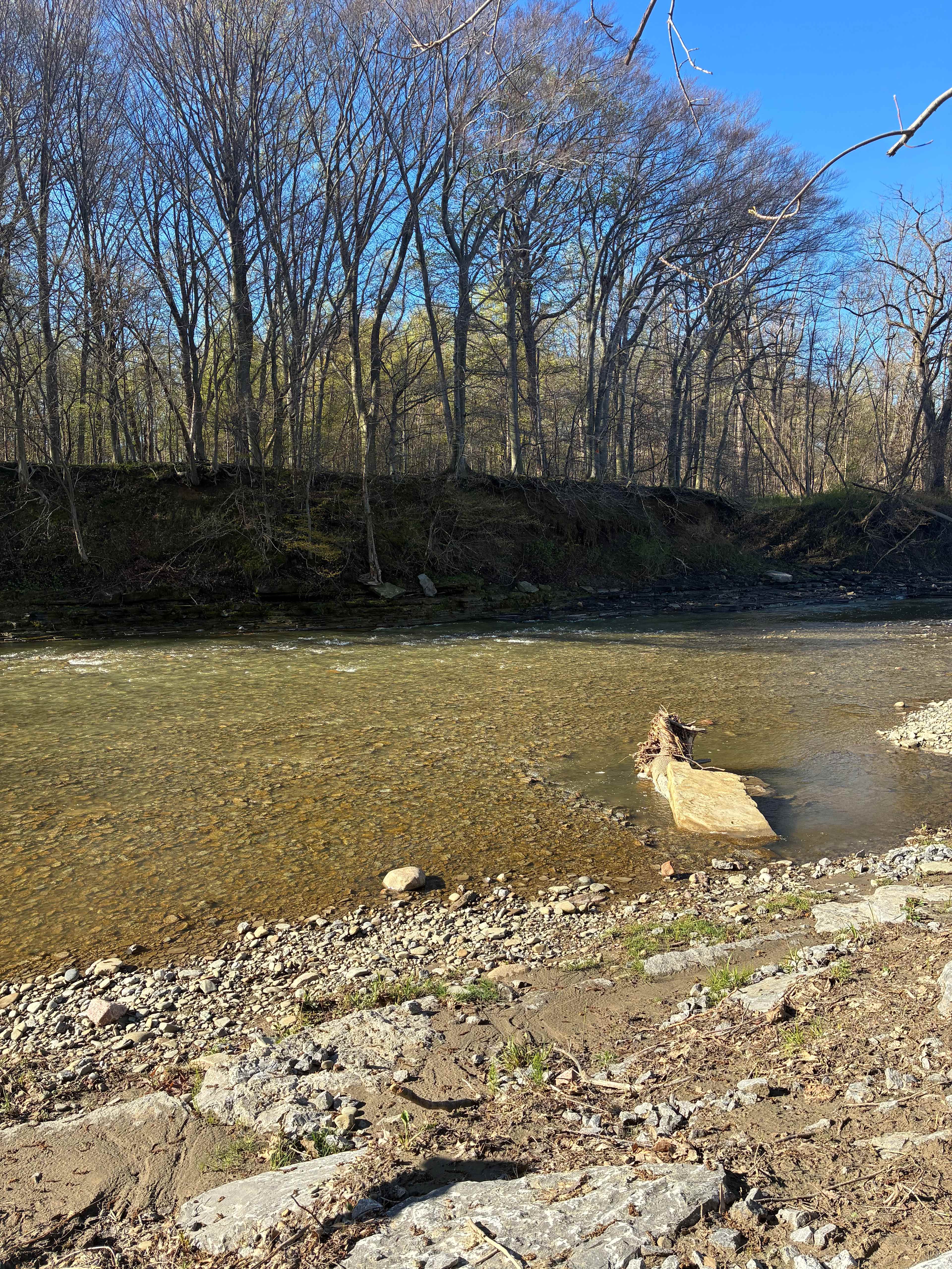 Steelhead Run Recreation Area
