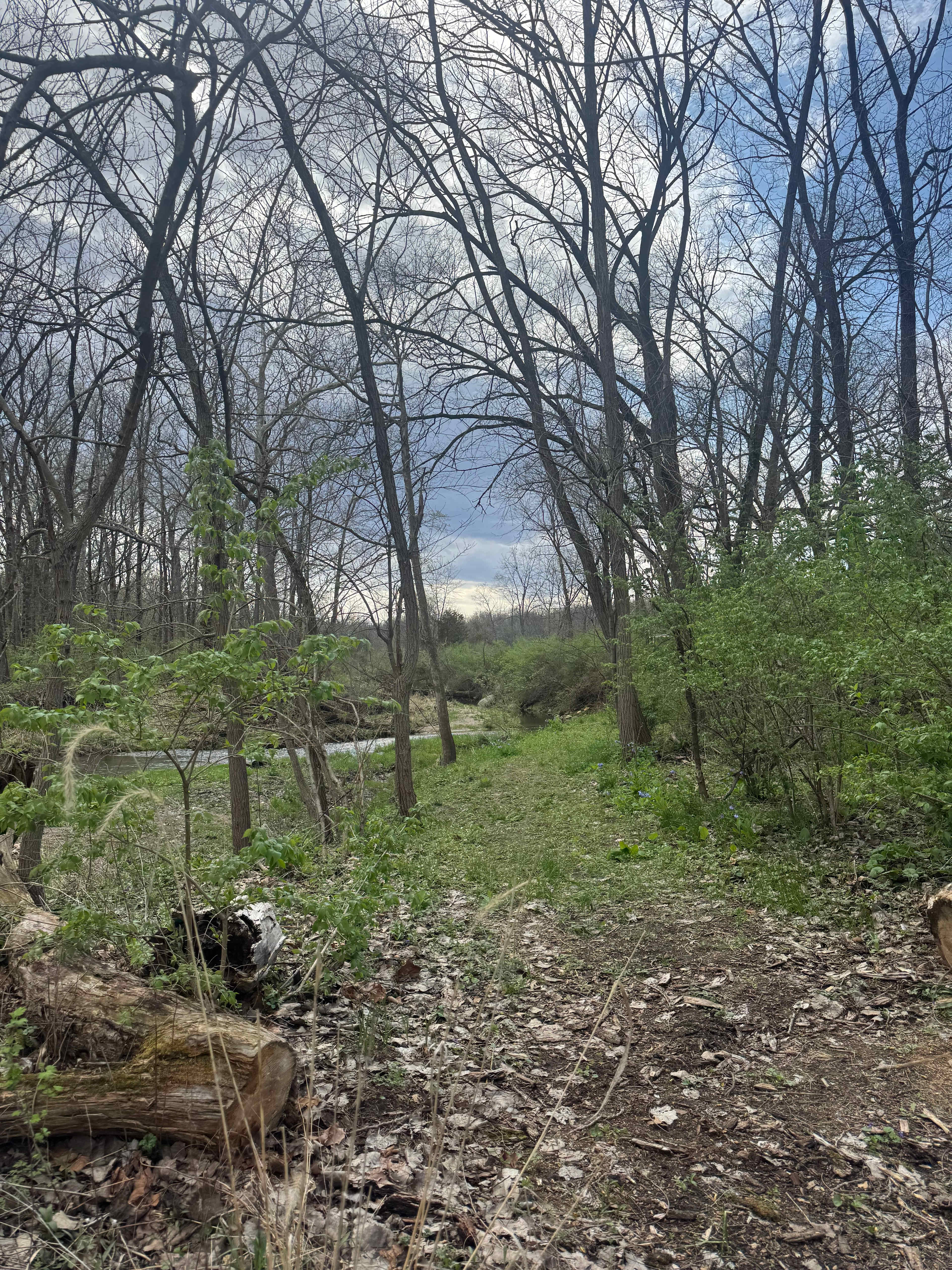 Gypsi Acres