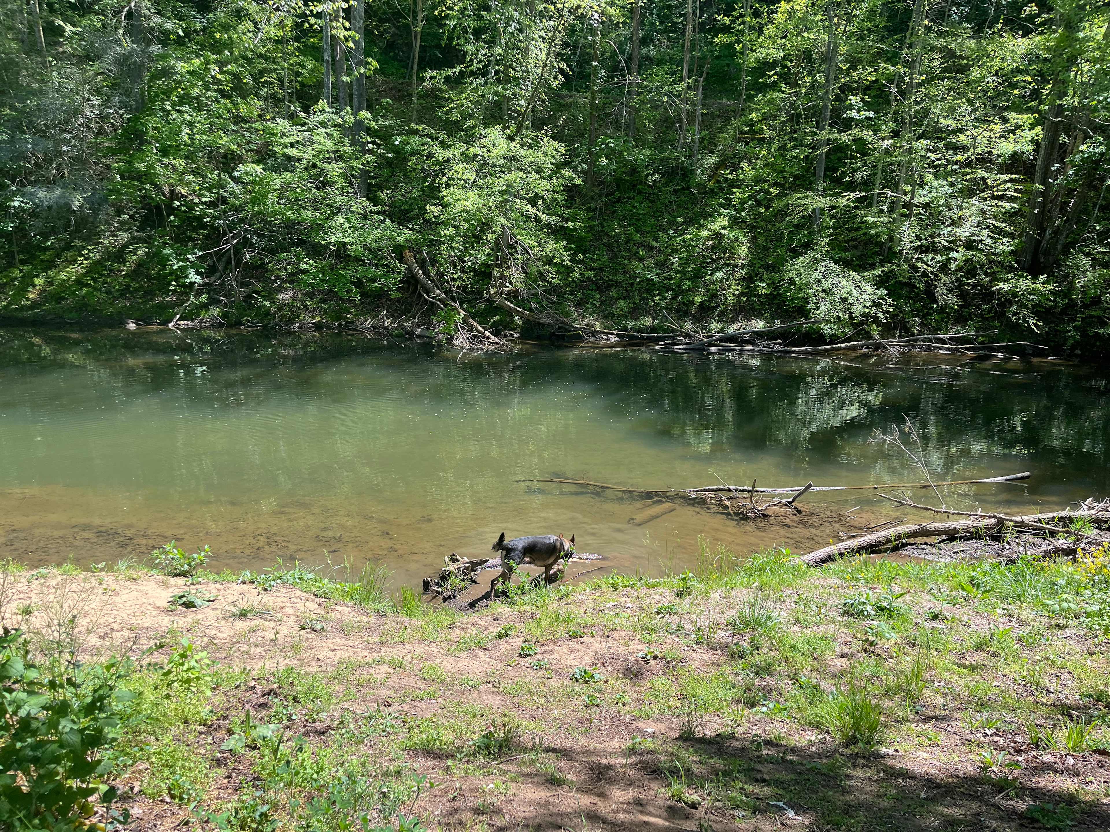 Beech Grove River Spot