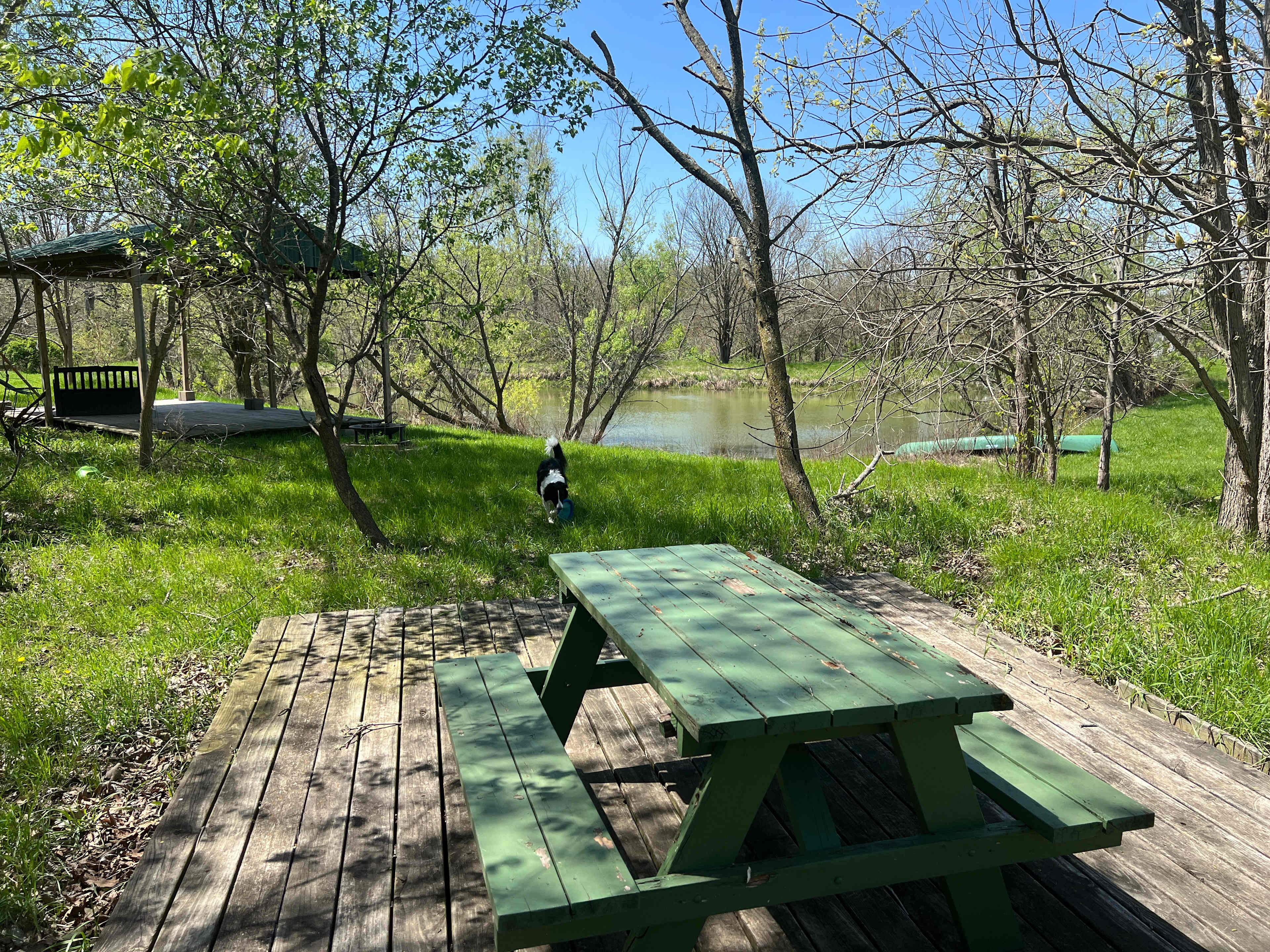 Picture of the site