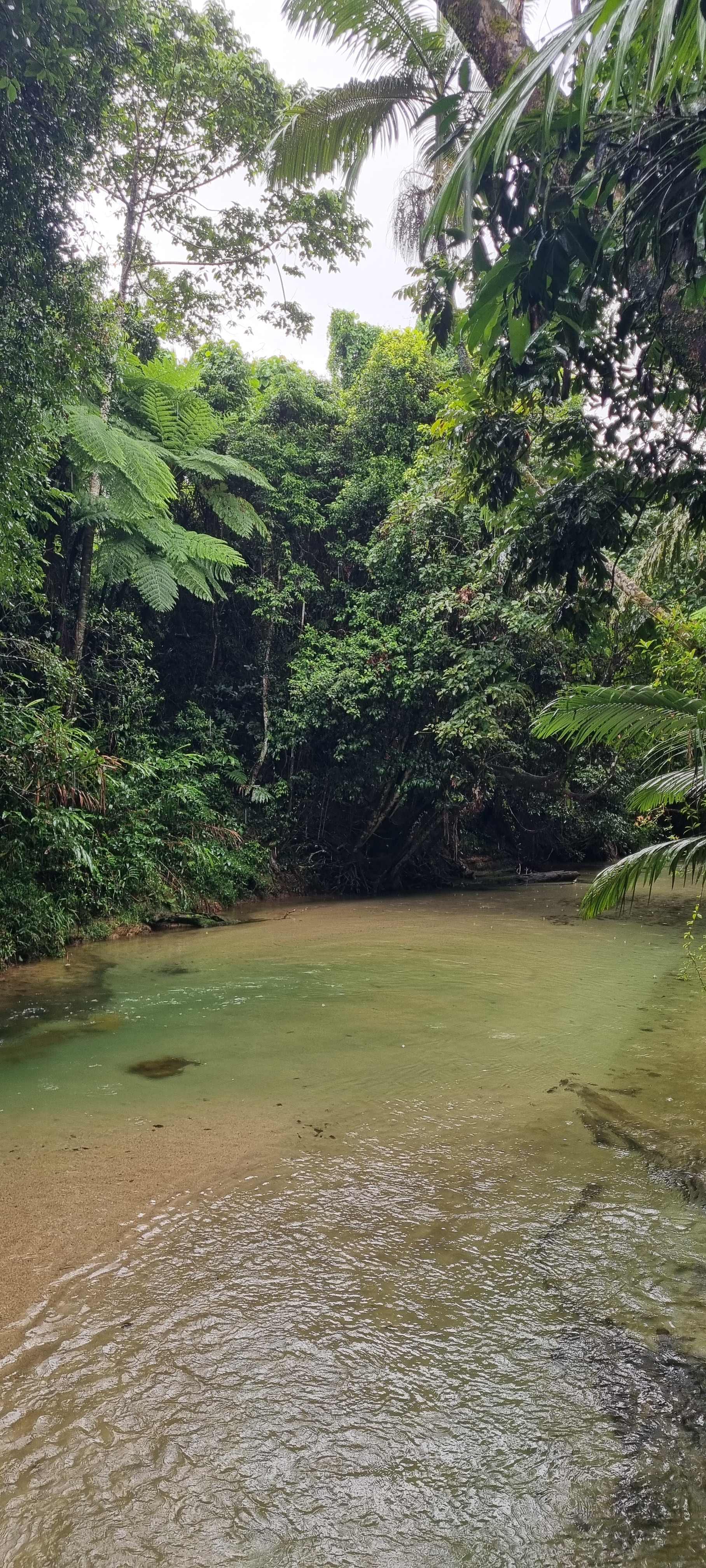 Paradise Camps