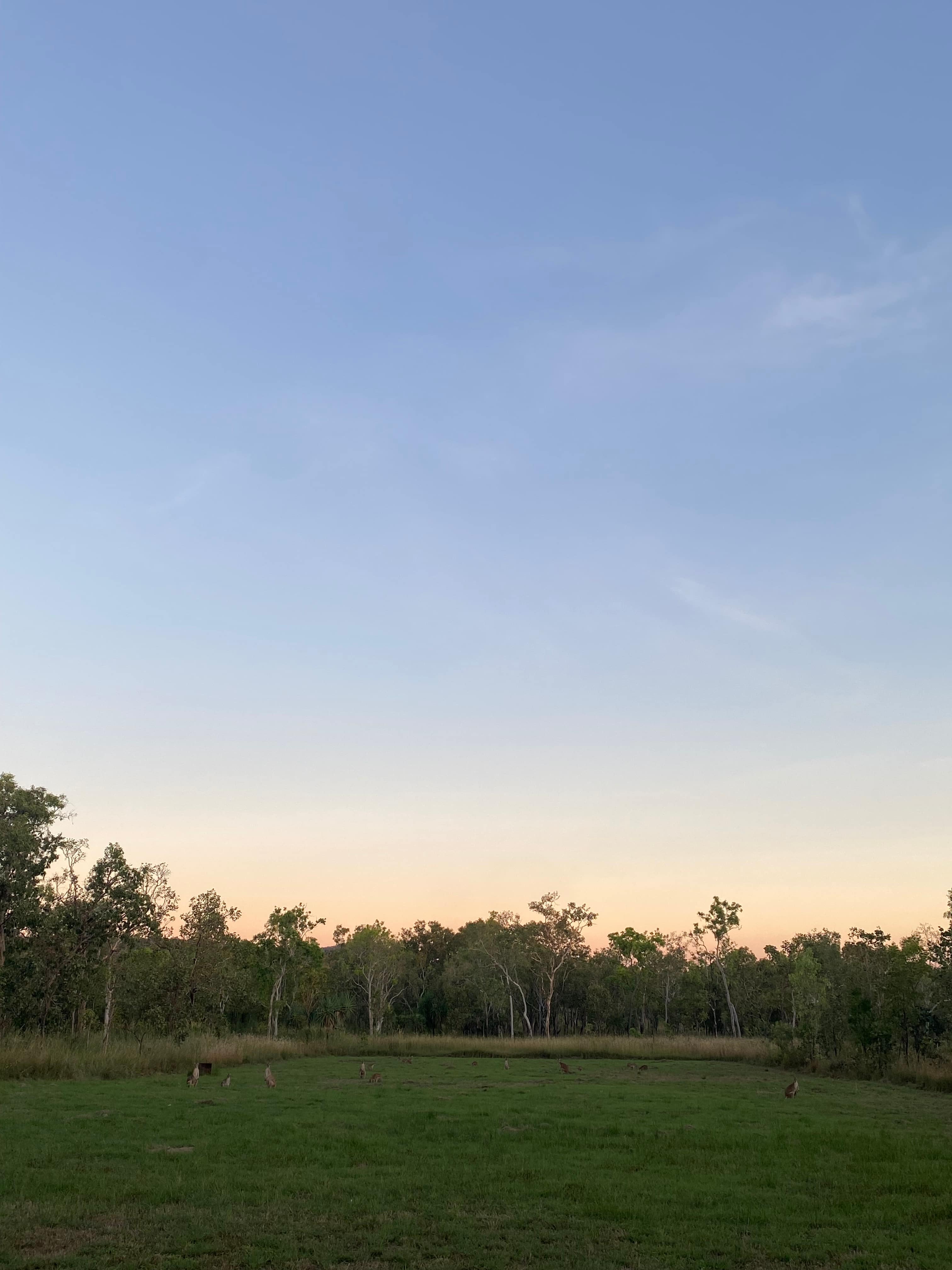 Litchfield Bush Sites
