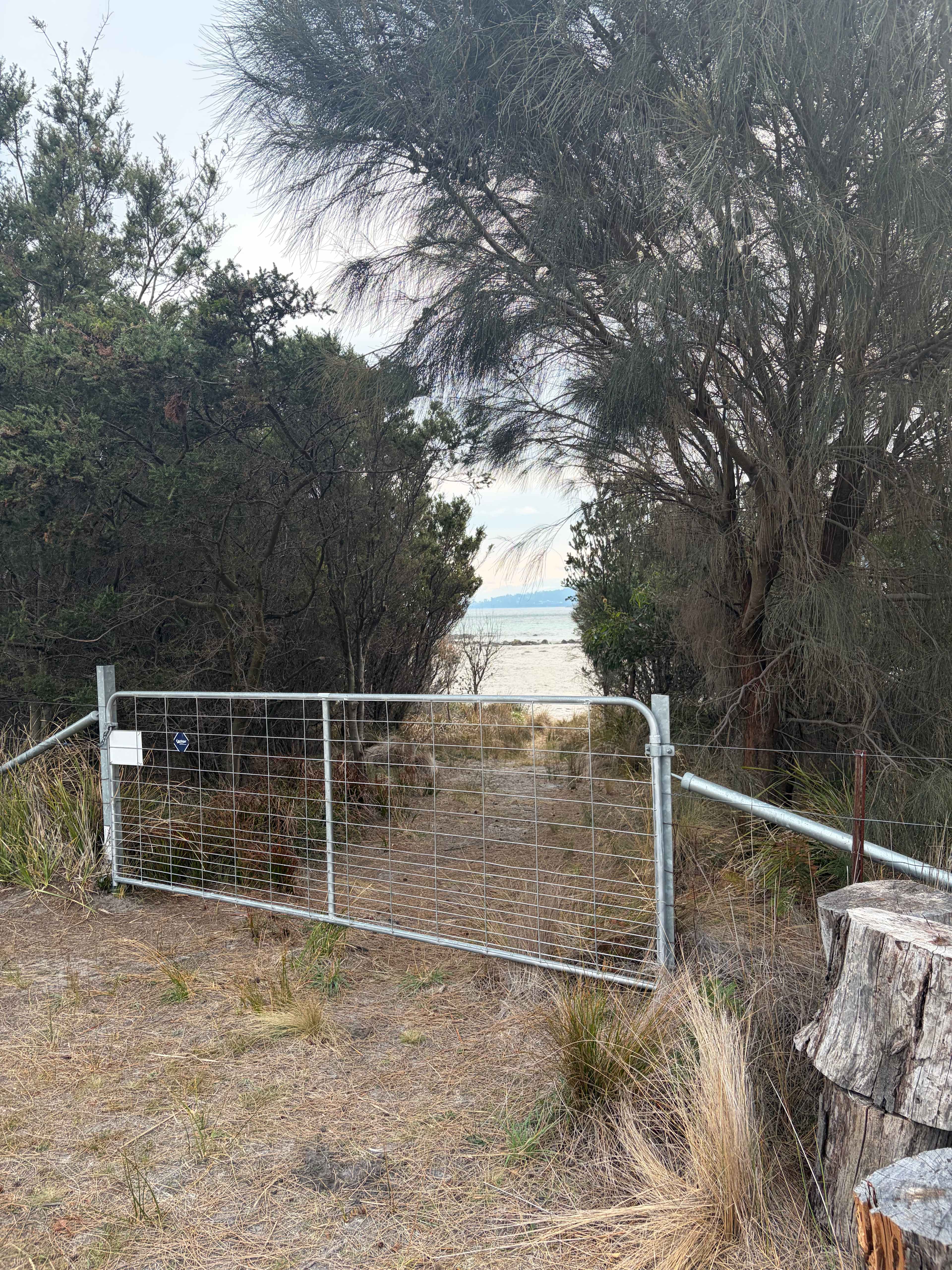 Beach access from Site 3 - Connellys Beach 