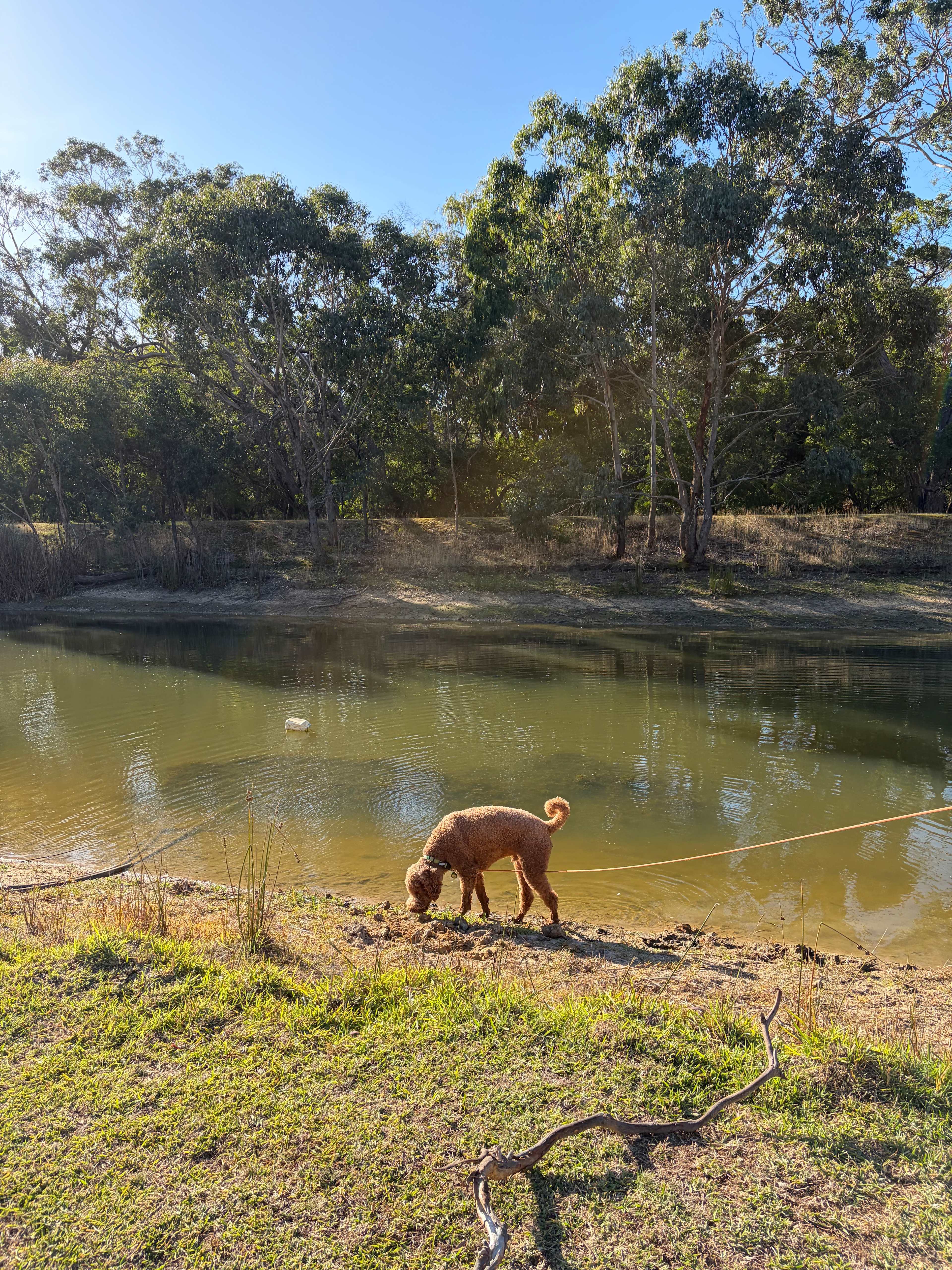 Sunny Lake Farm