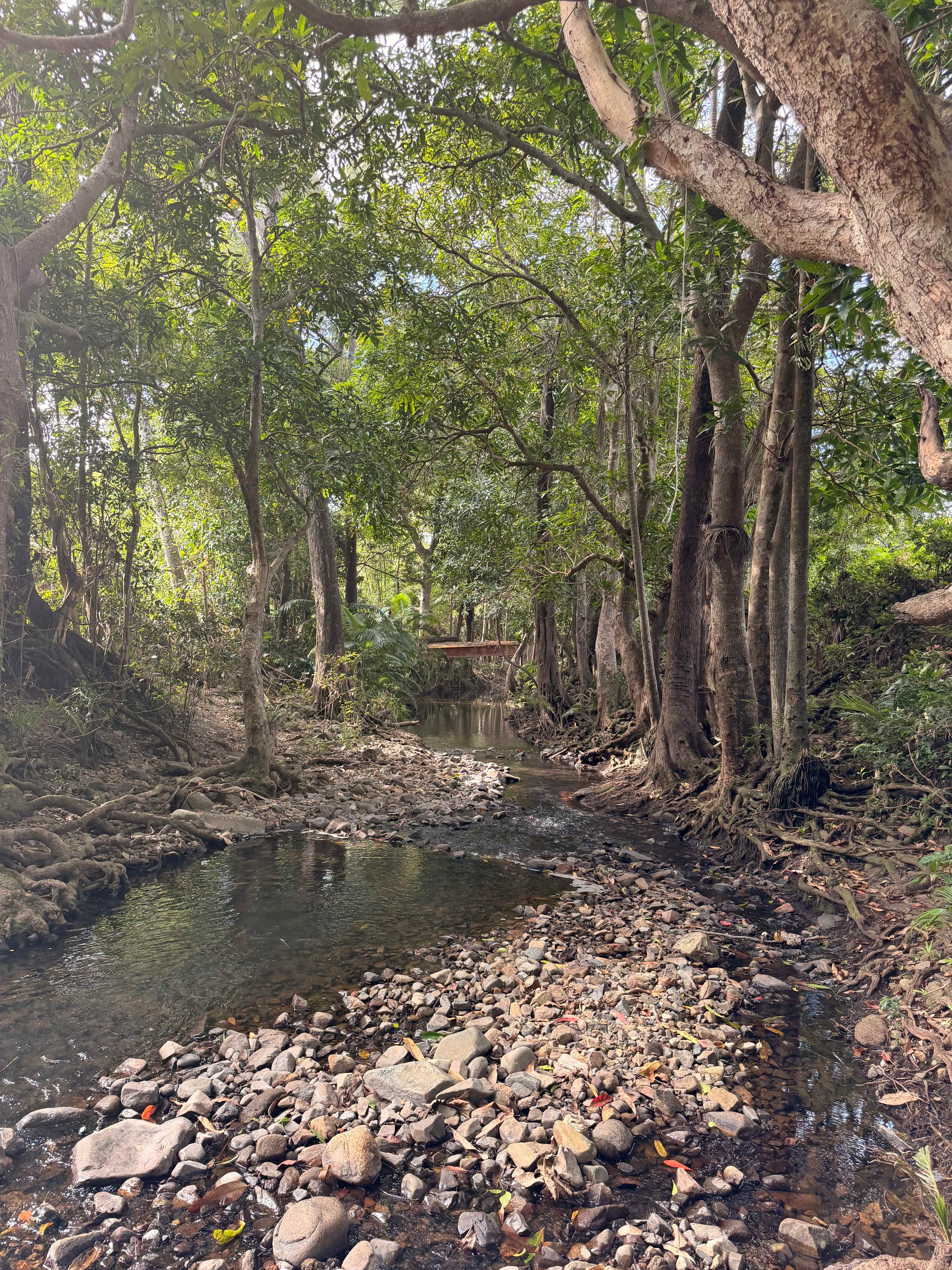 Cattle Camp, Sarina, QLD