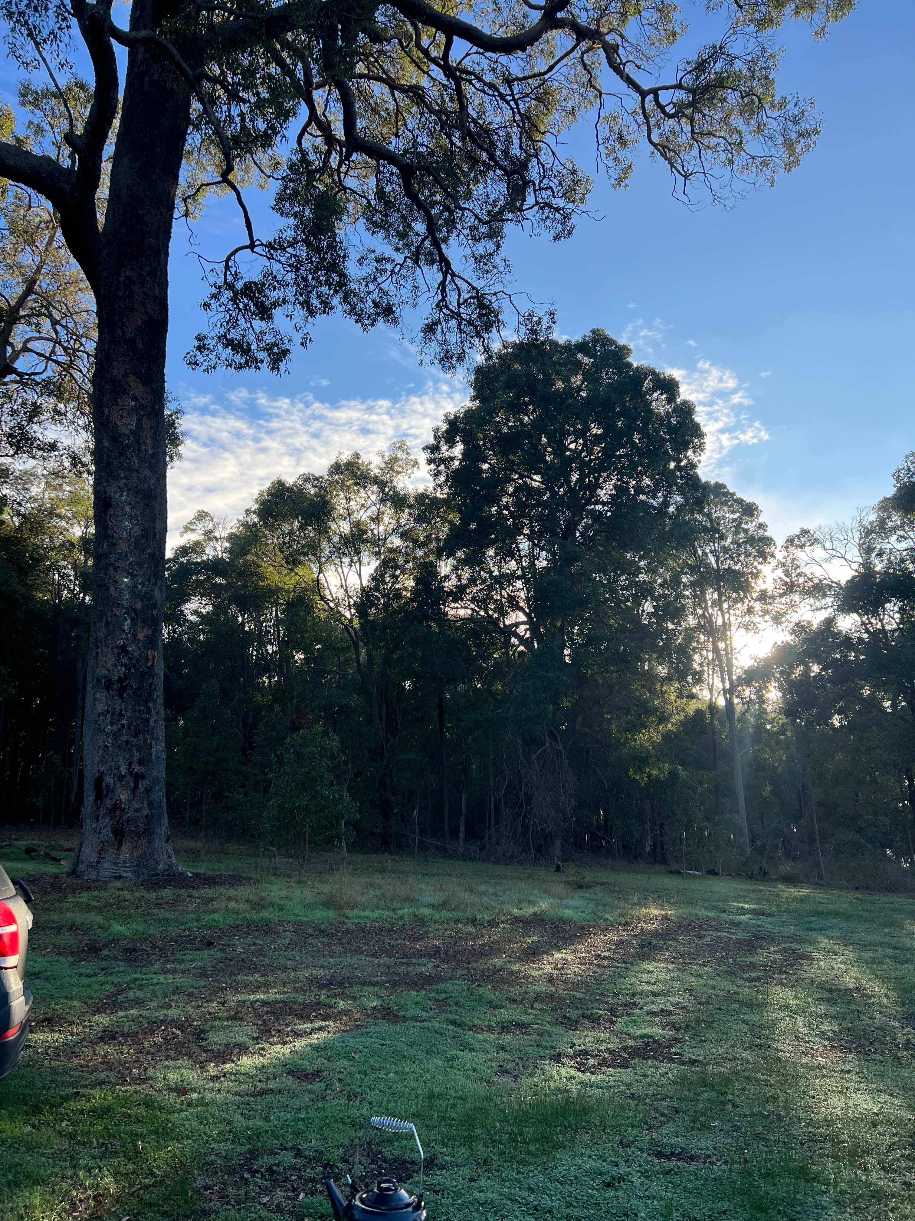 Redgum Hill