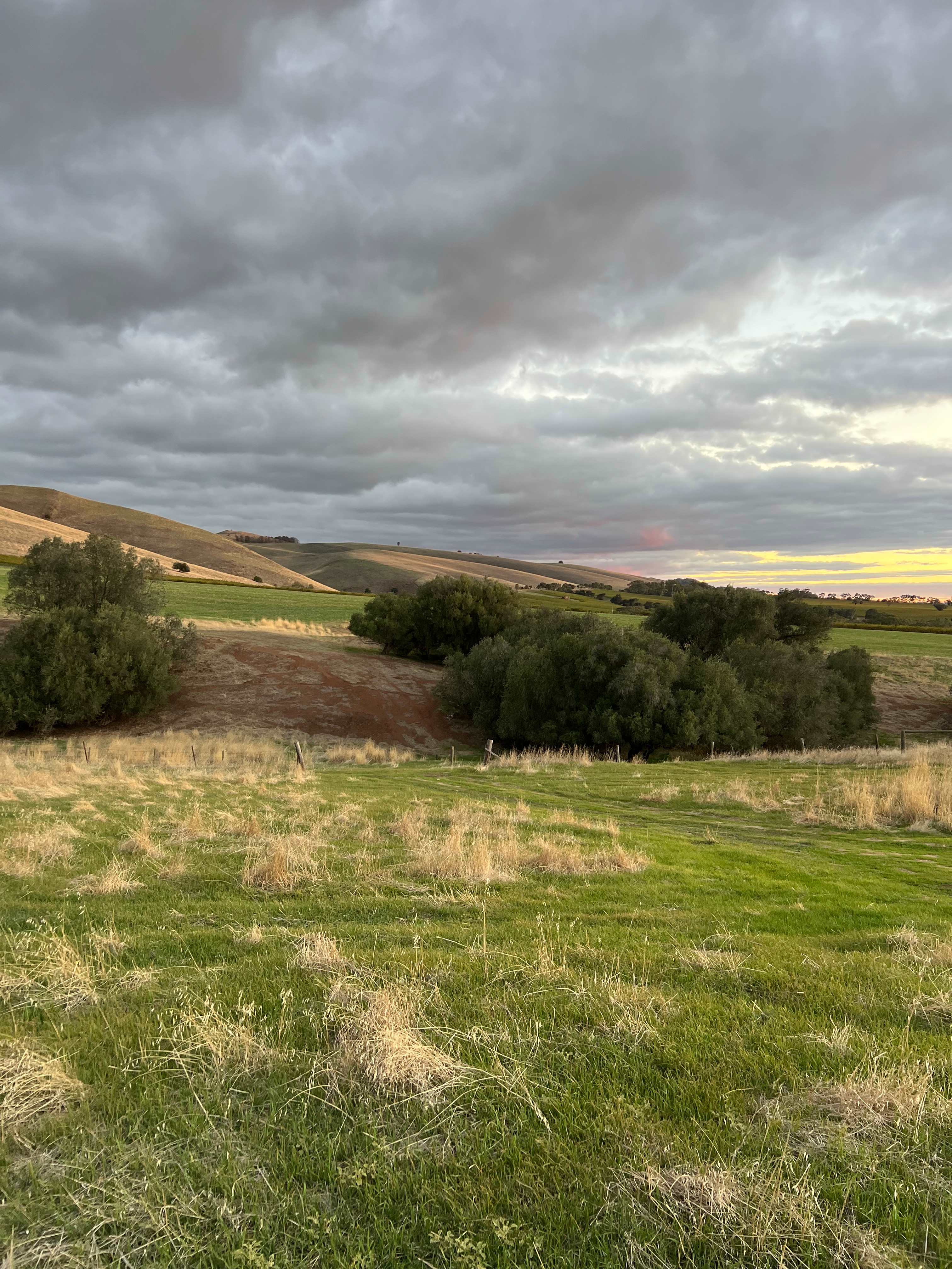 Jacob’s Creek Farm, Krondorf
