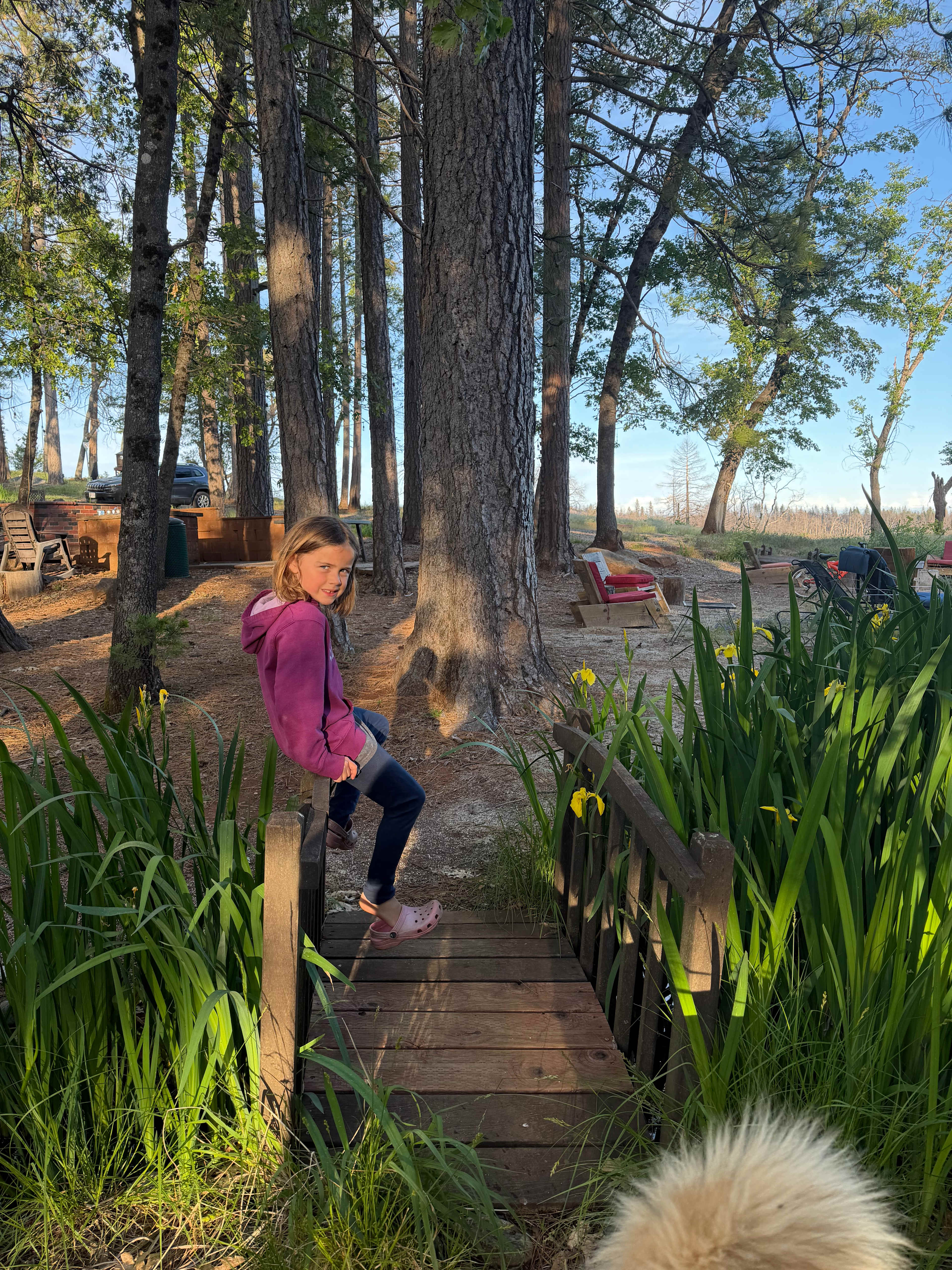 Maple Creek Ranch