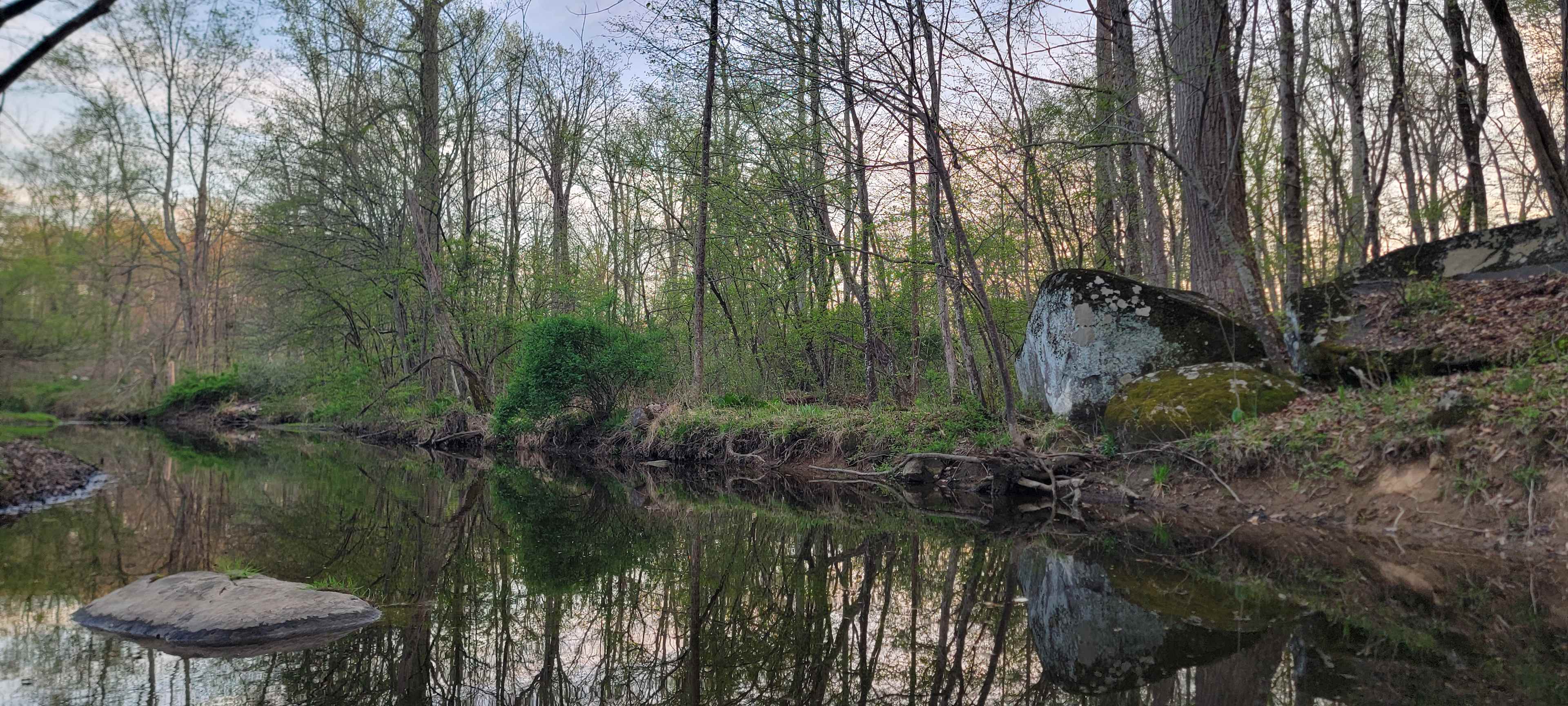 FernRock Retreat