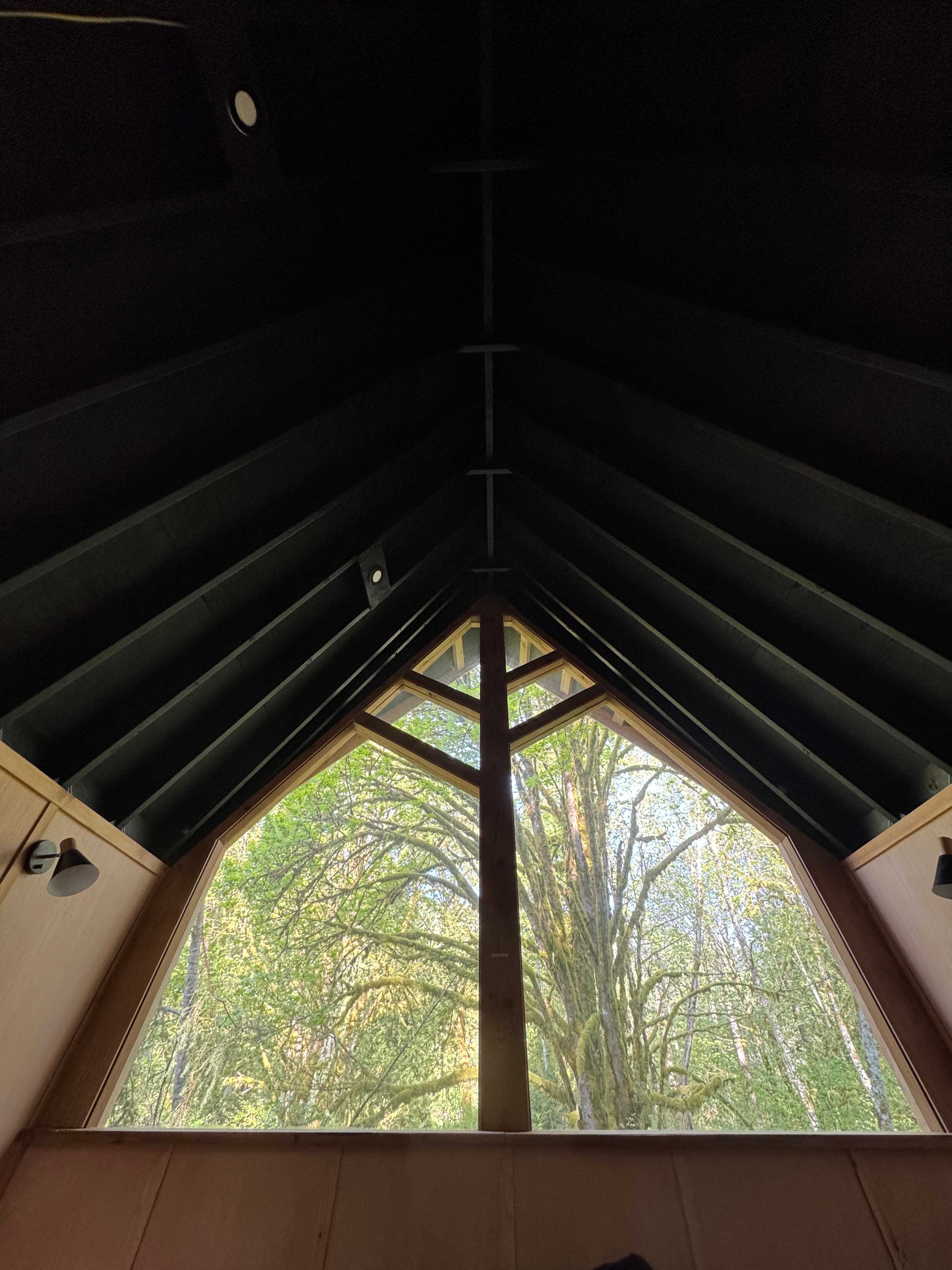 Window view from bed