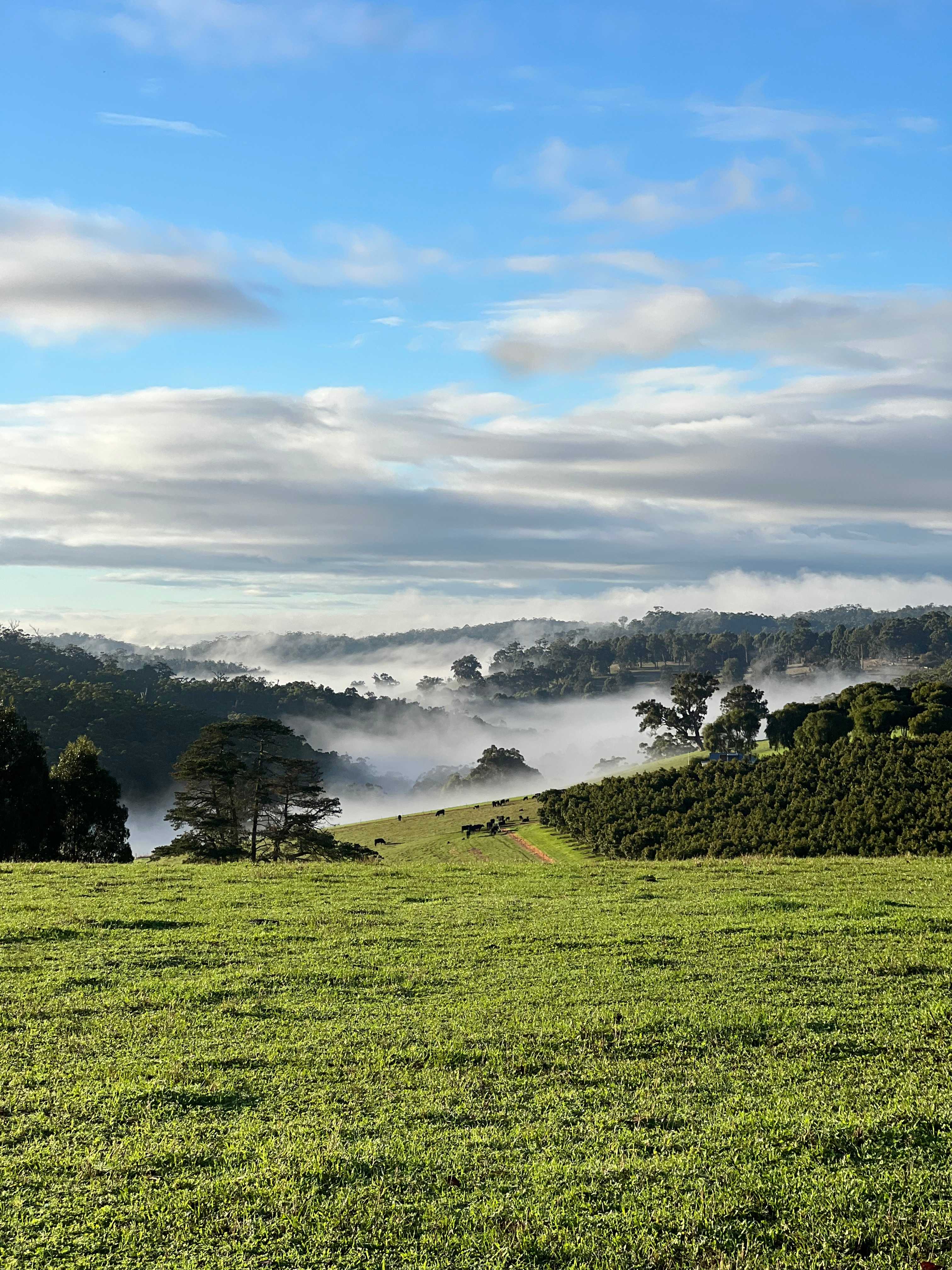 Fernbrook Farm Stay