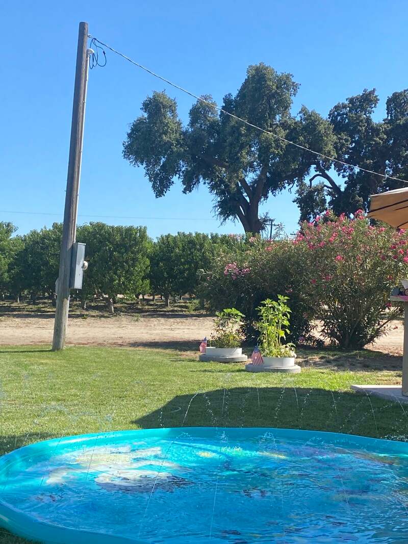 Picture of the site
