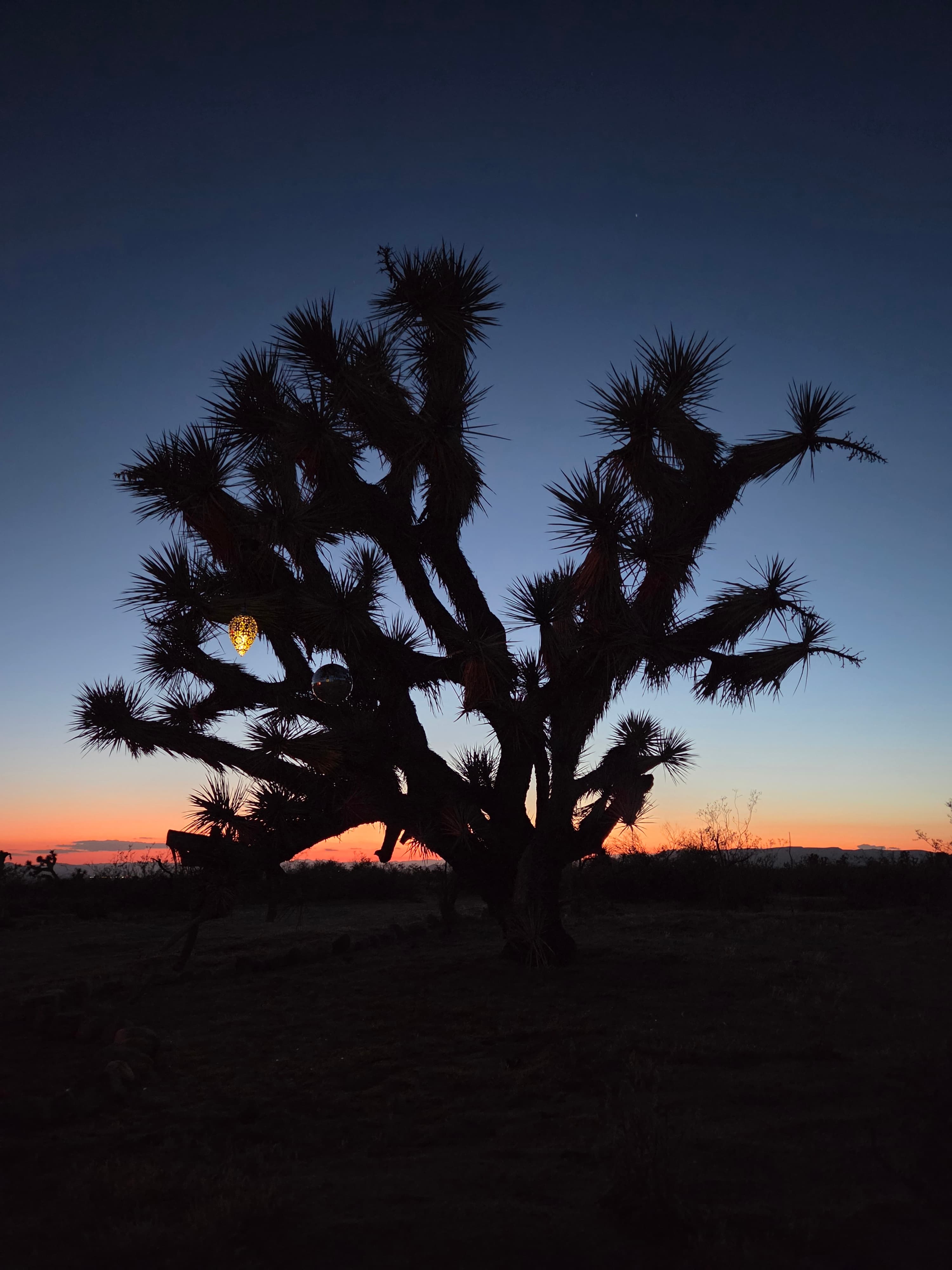 Magic in the Mojave