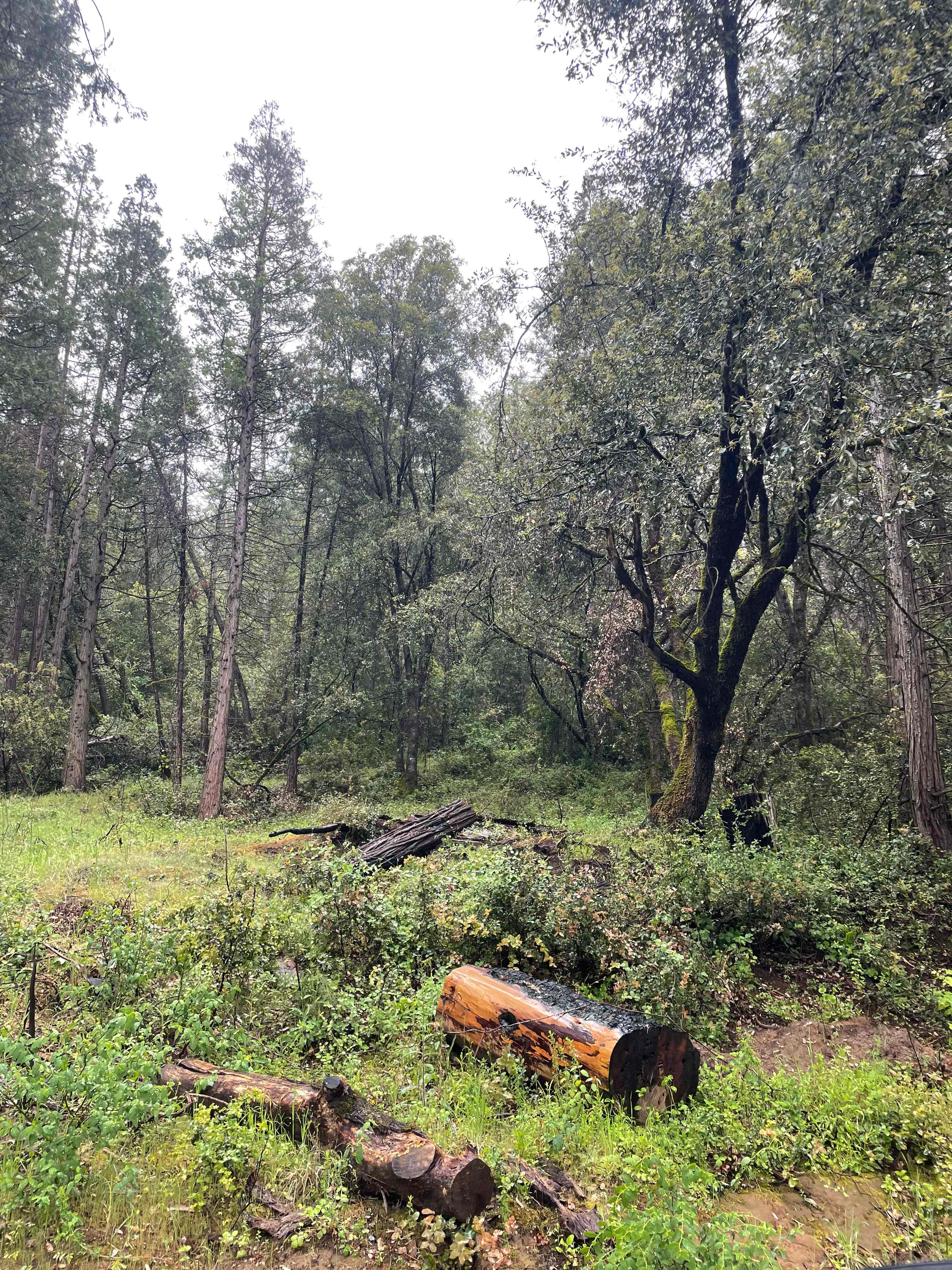 Cosumnes River Somerset Camp