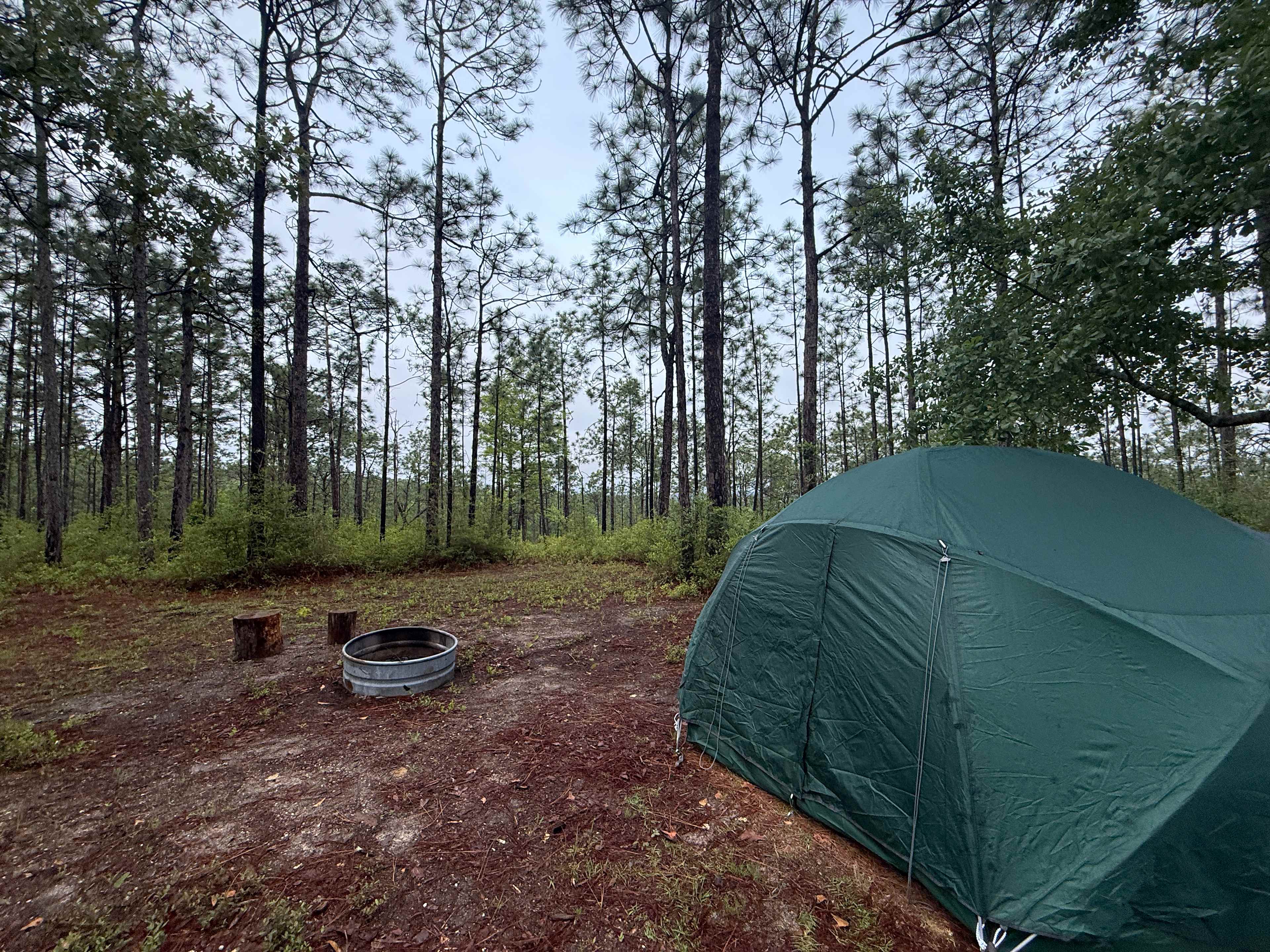 Fire pit, plenty of space, lovely, peaceful grove of trees. 