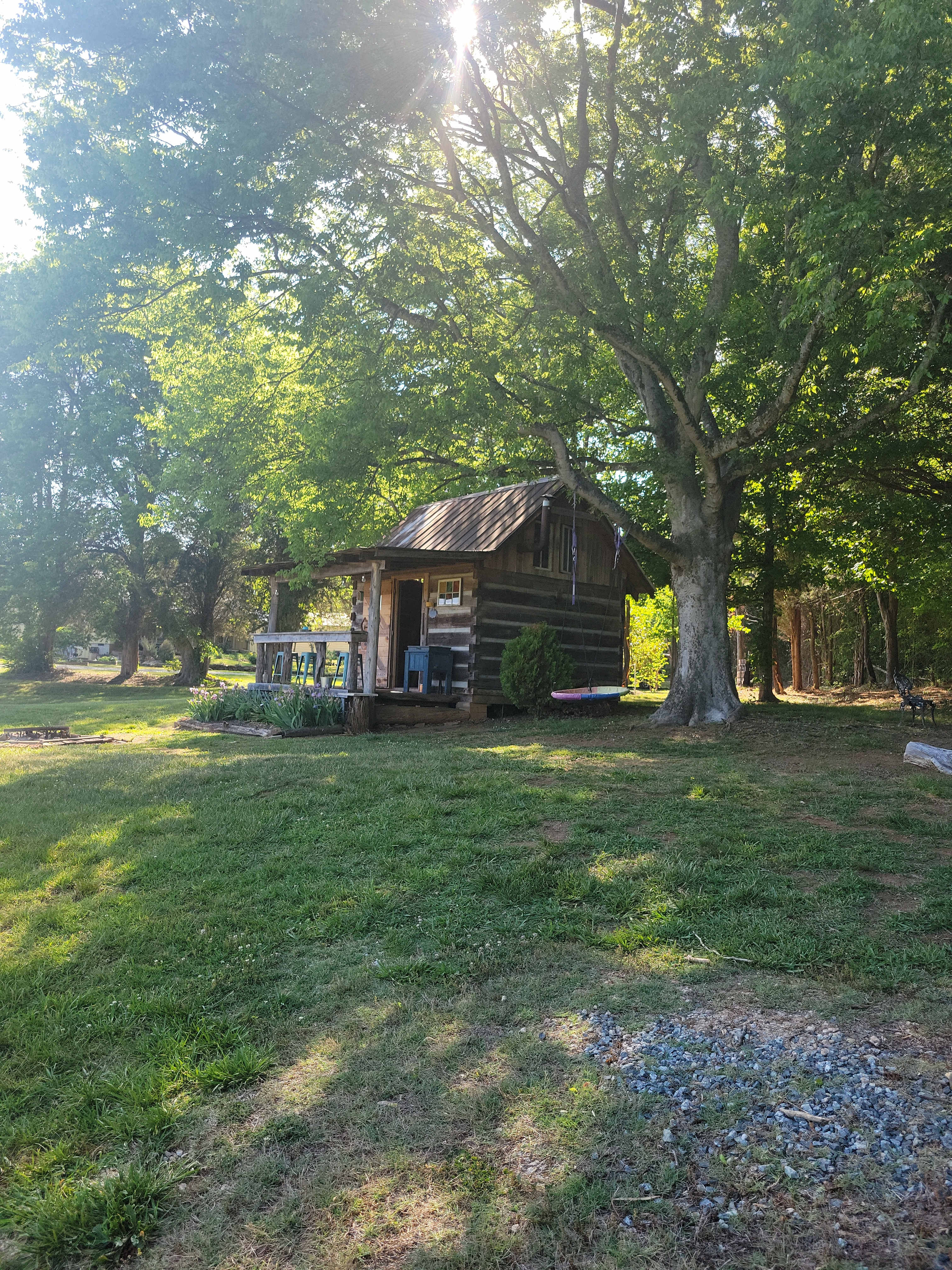 The Dancing Pig On Abbotts Creek