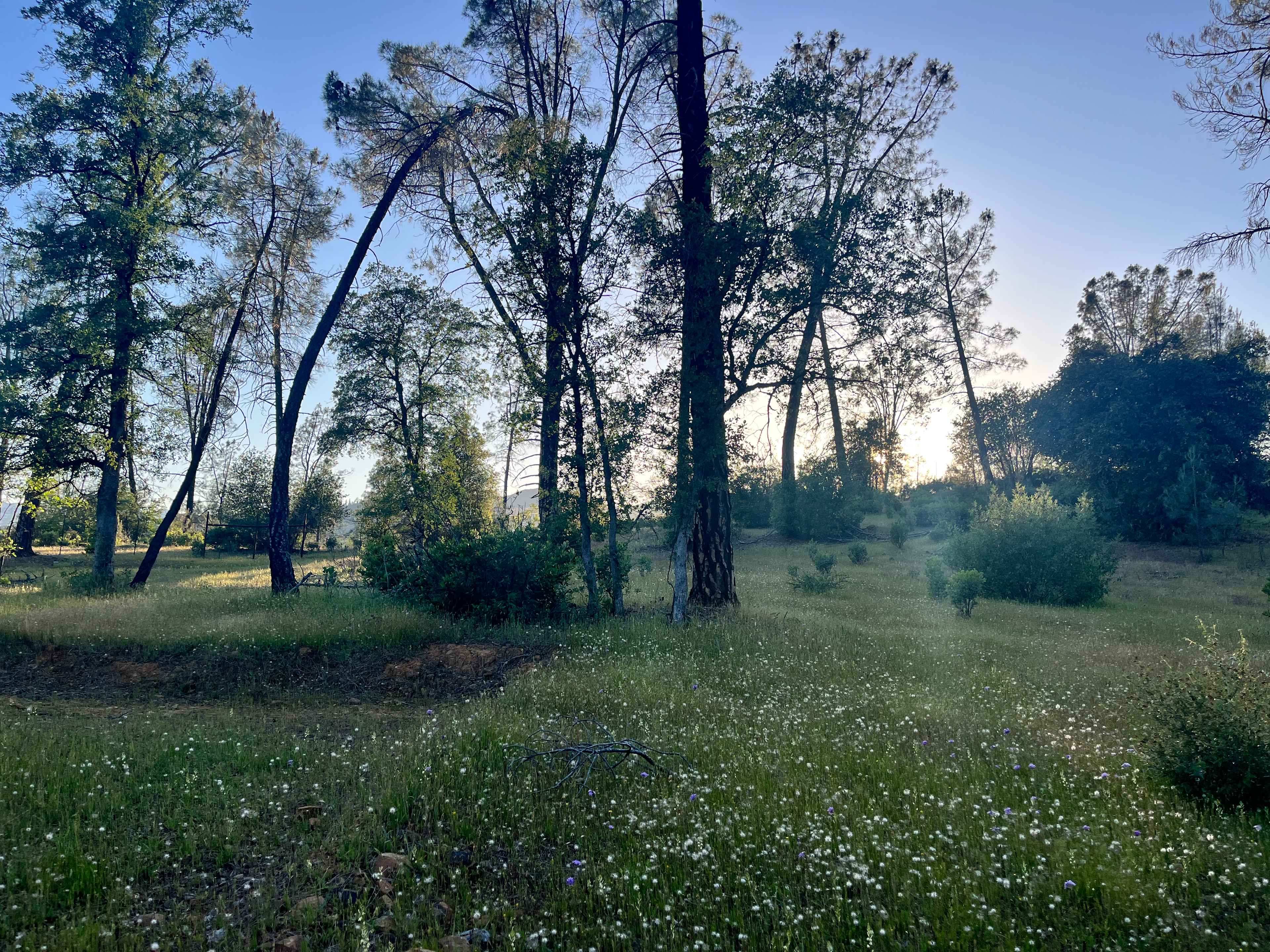 Walker Mine Campground