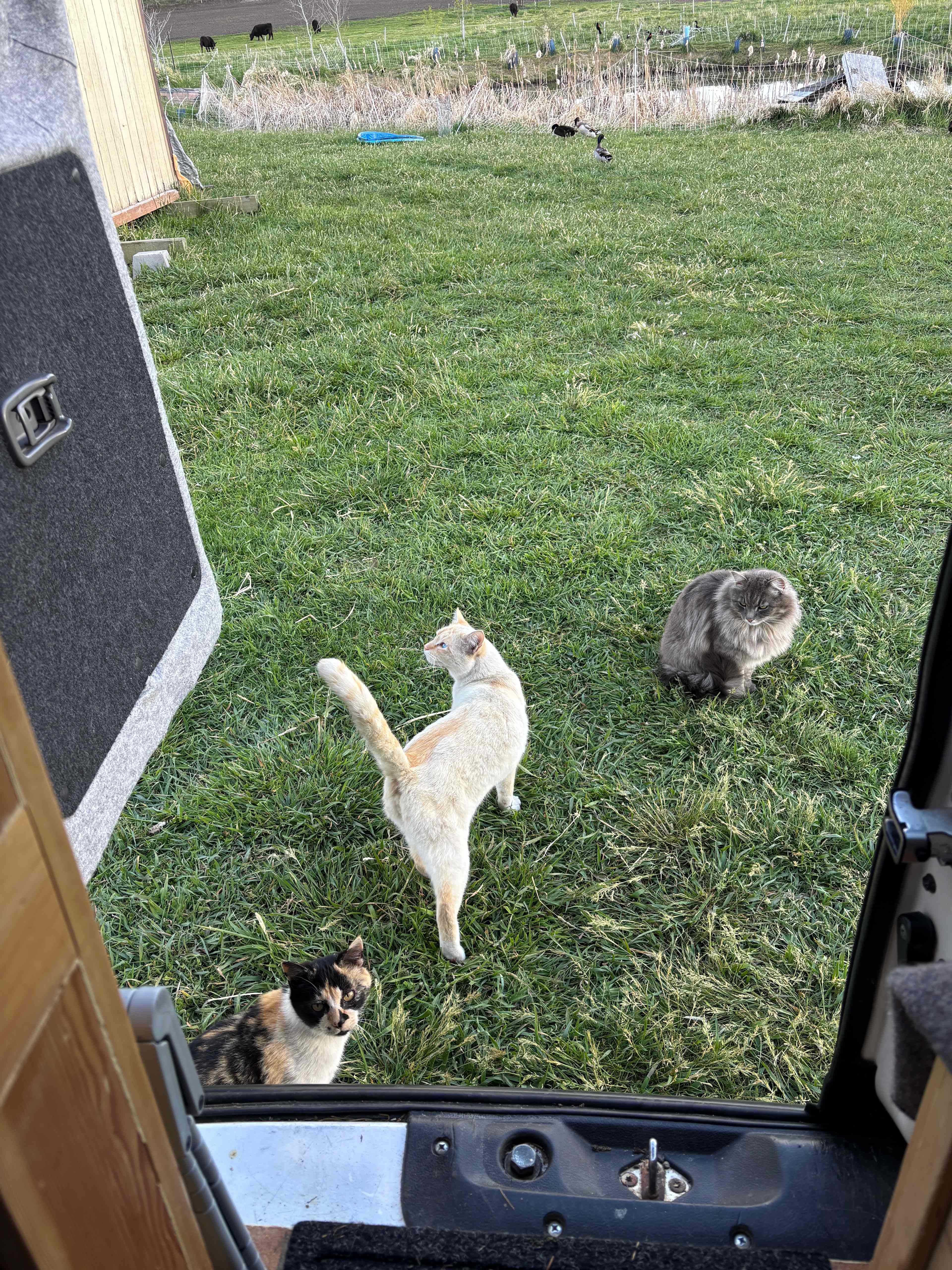 The Welcoming Committee