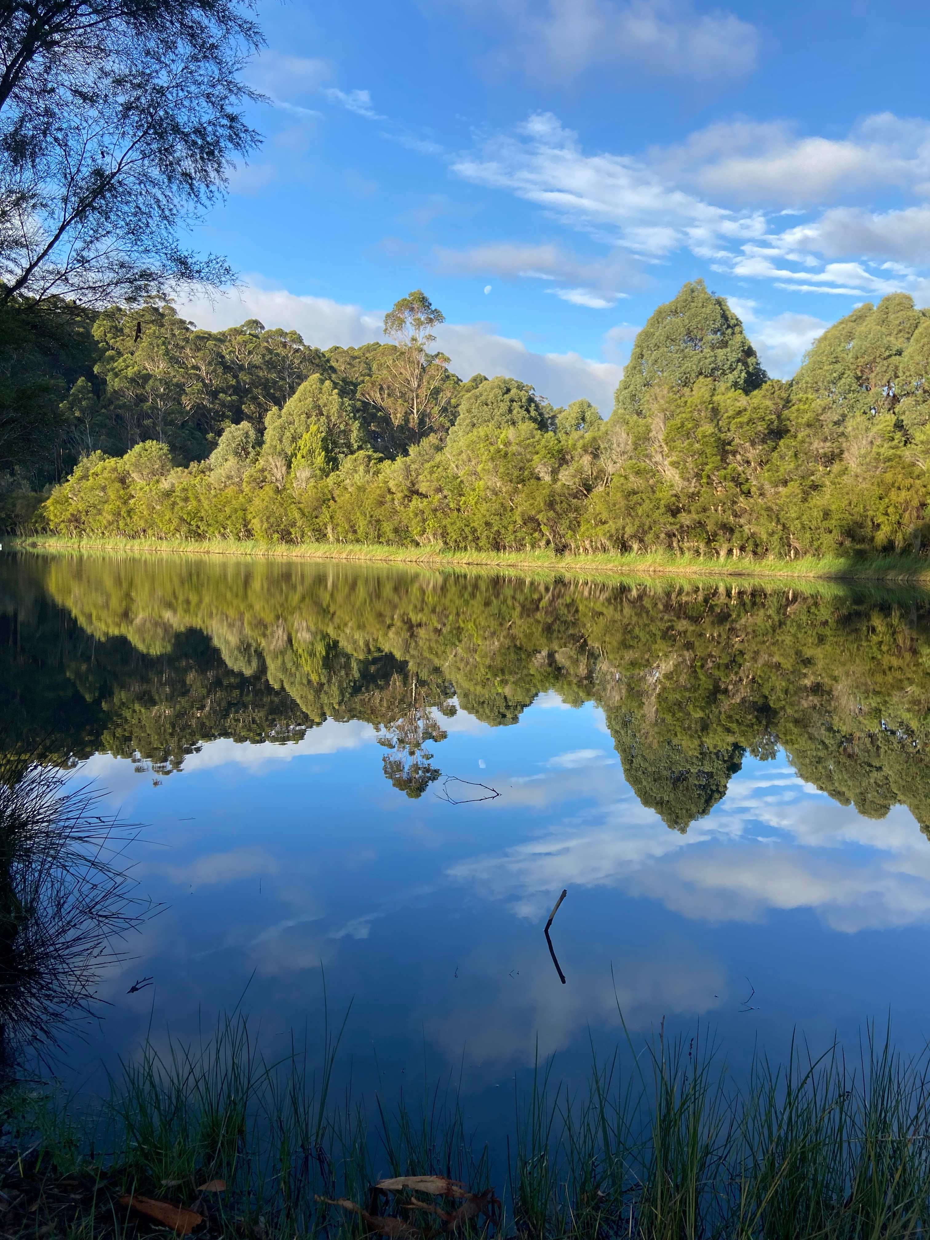 Mountford Wines & Cider Pemberton