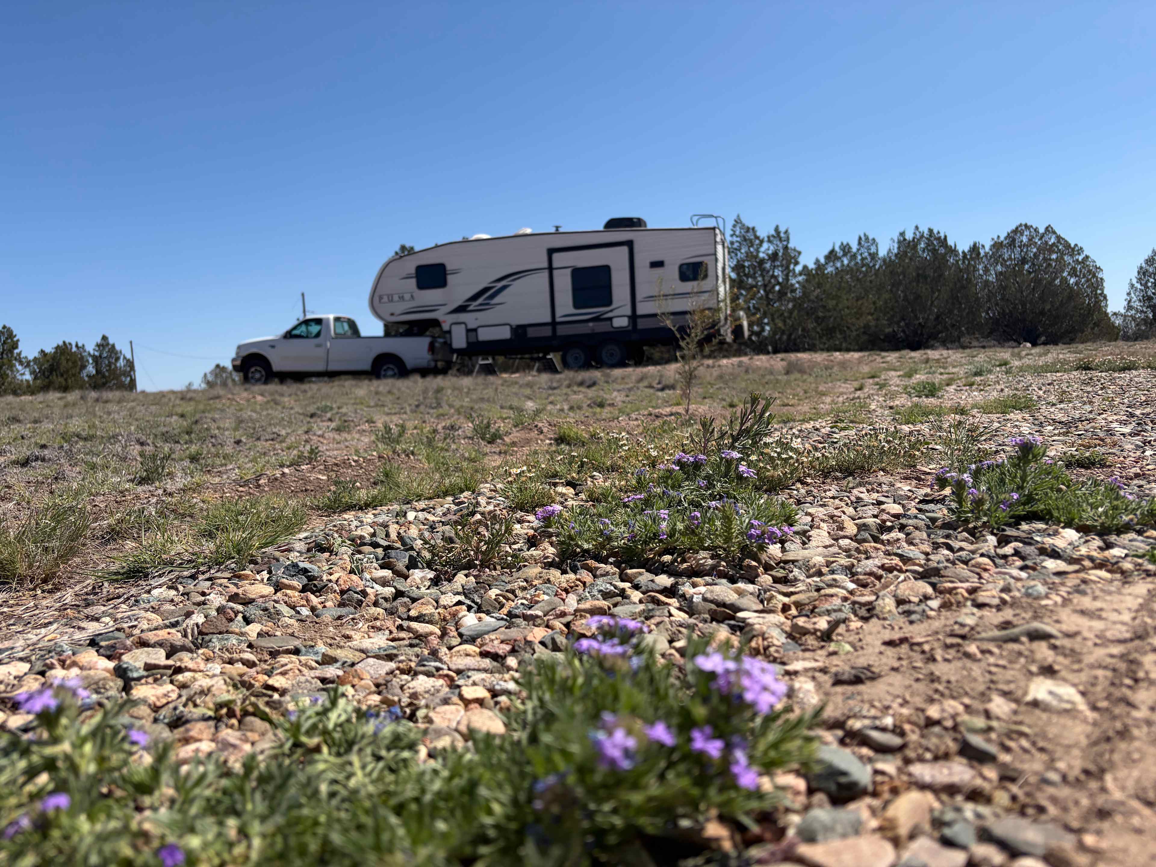 Pinon Forest Camp