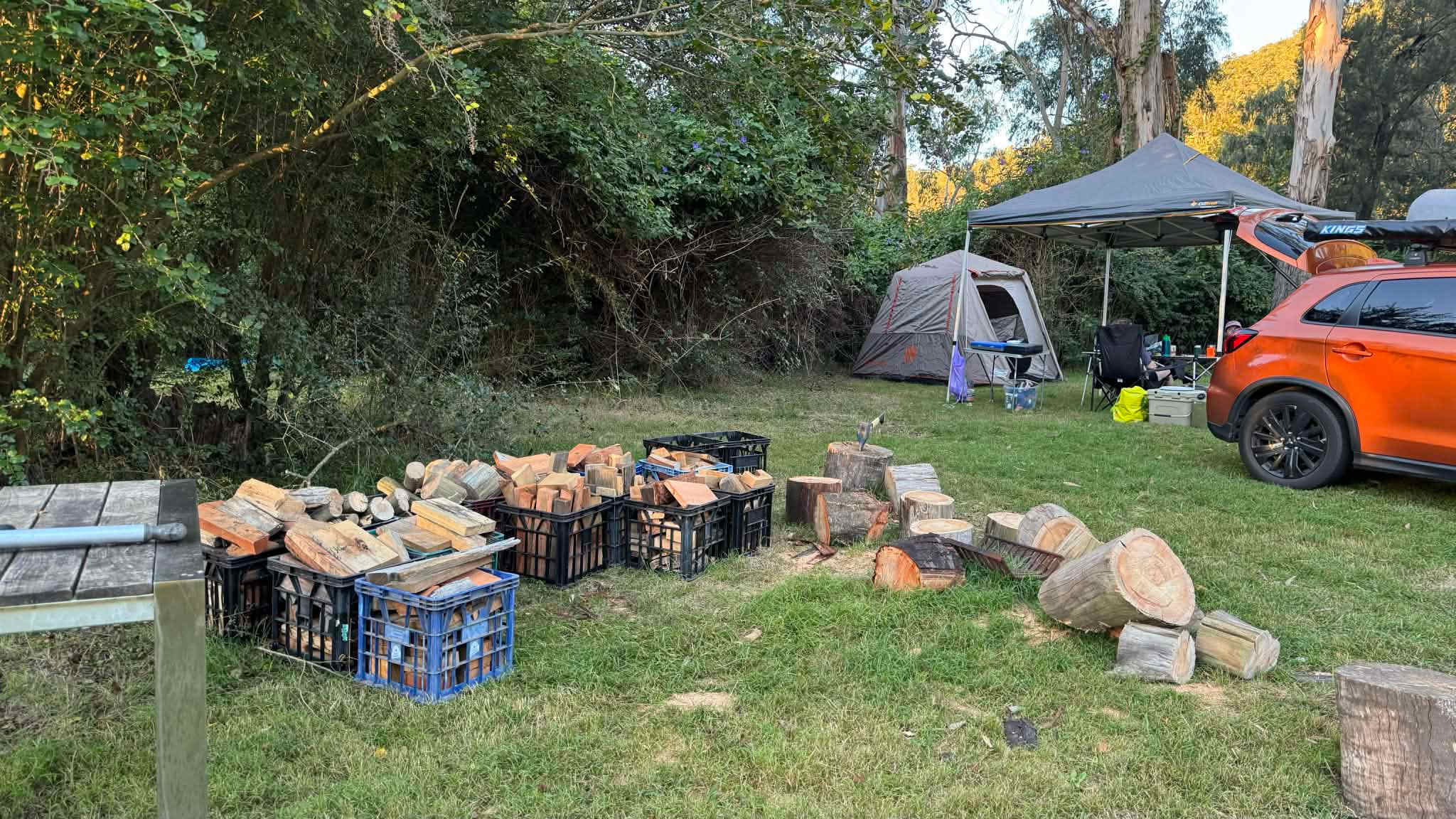 Picture of the site