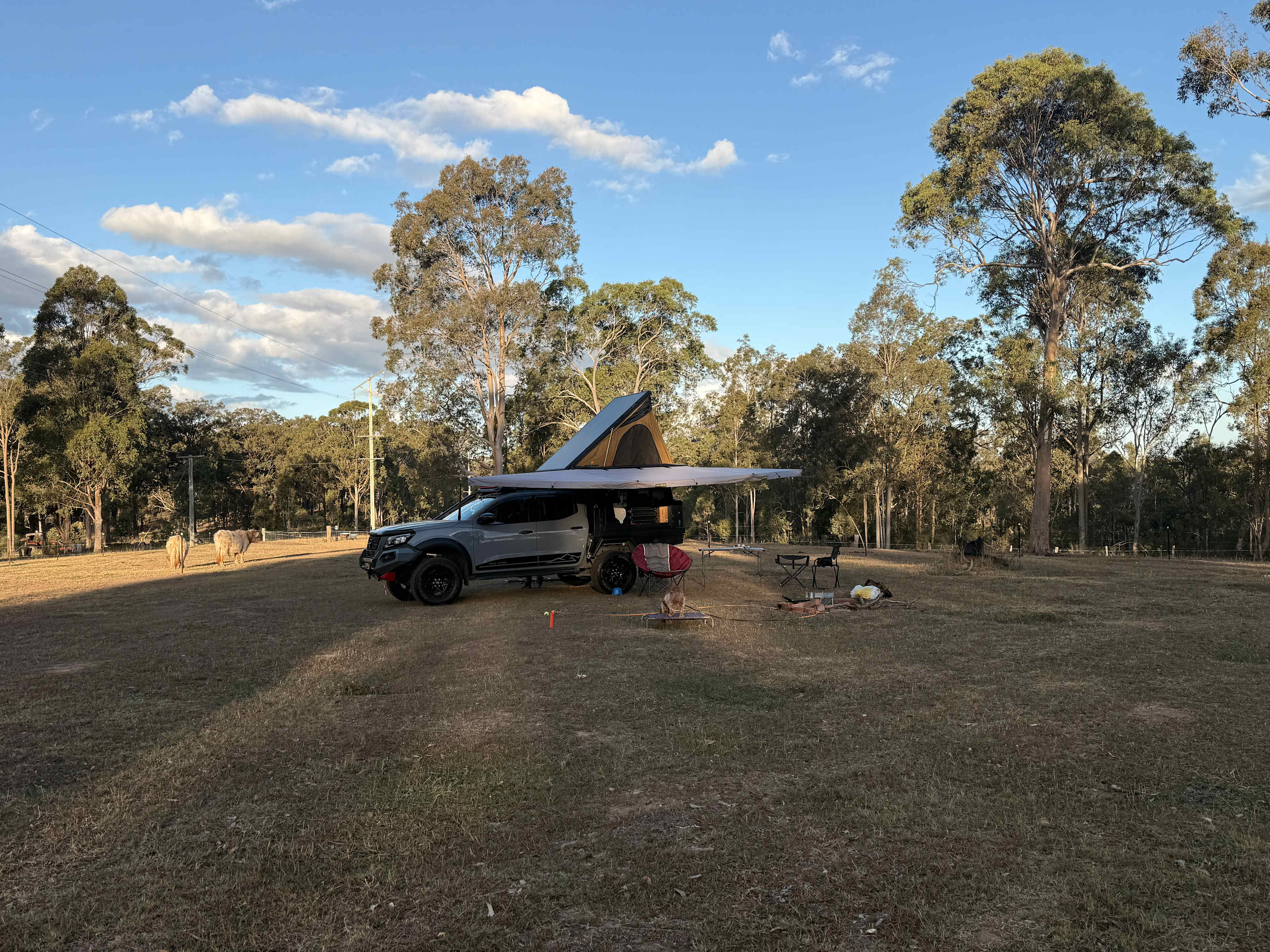 Eeyore And Snore Hunter Valley