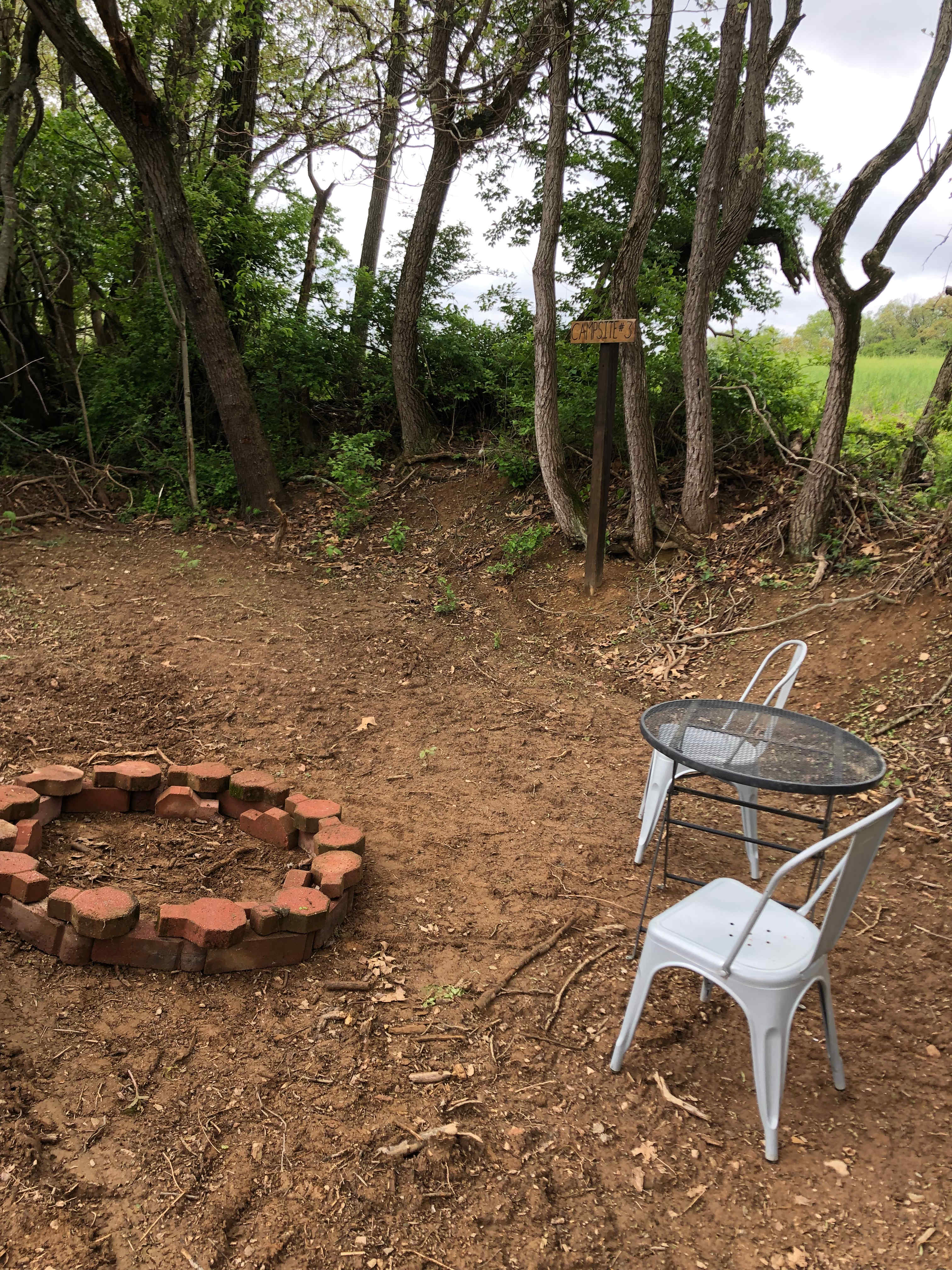 Picture of the site