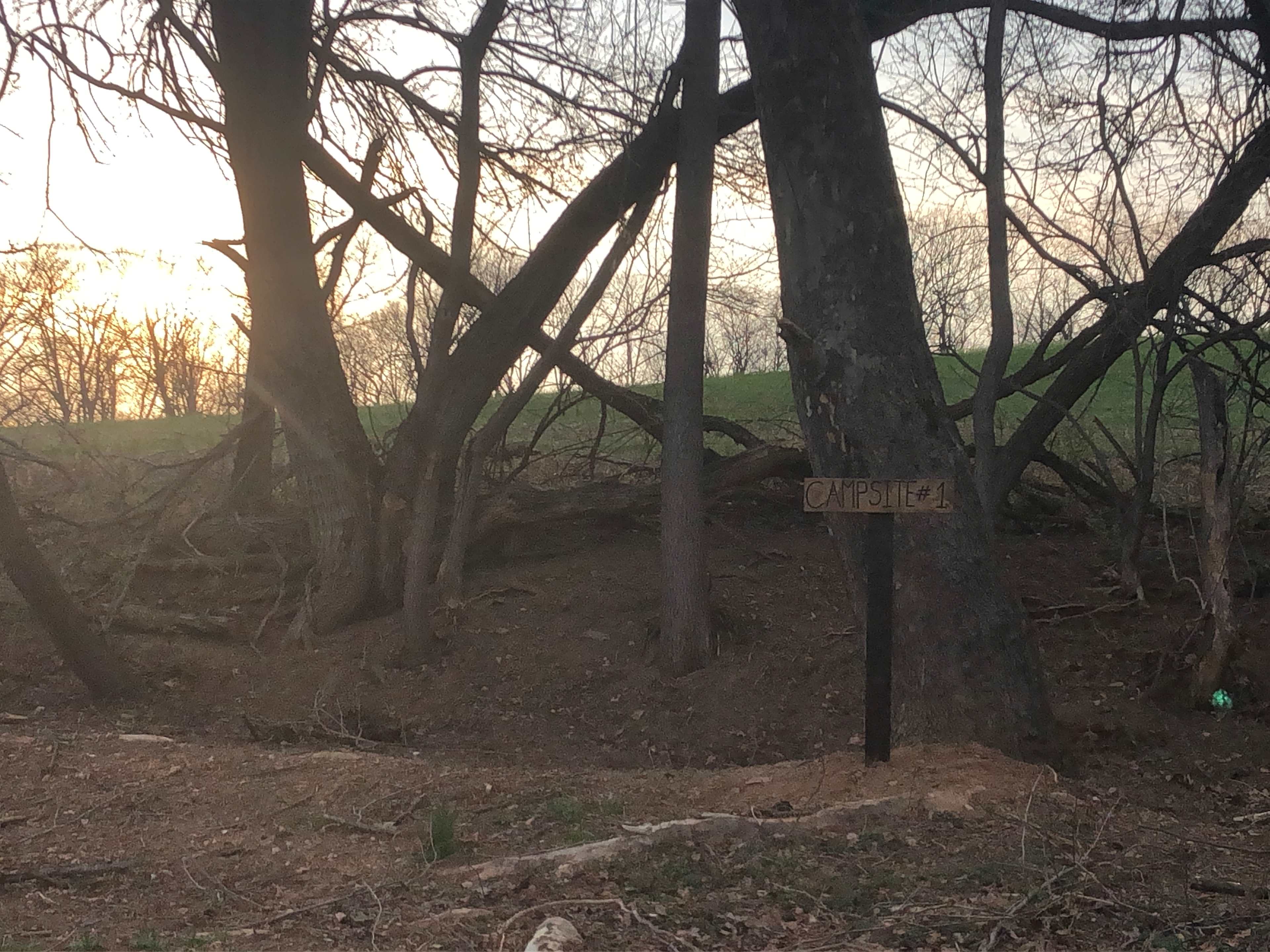 Picture of the site