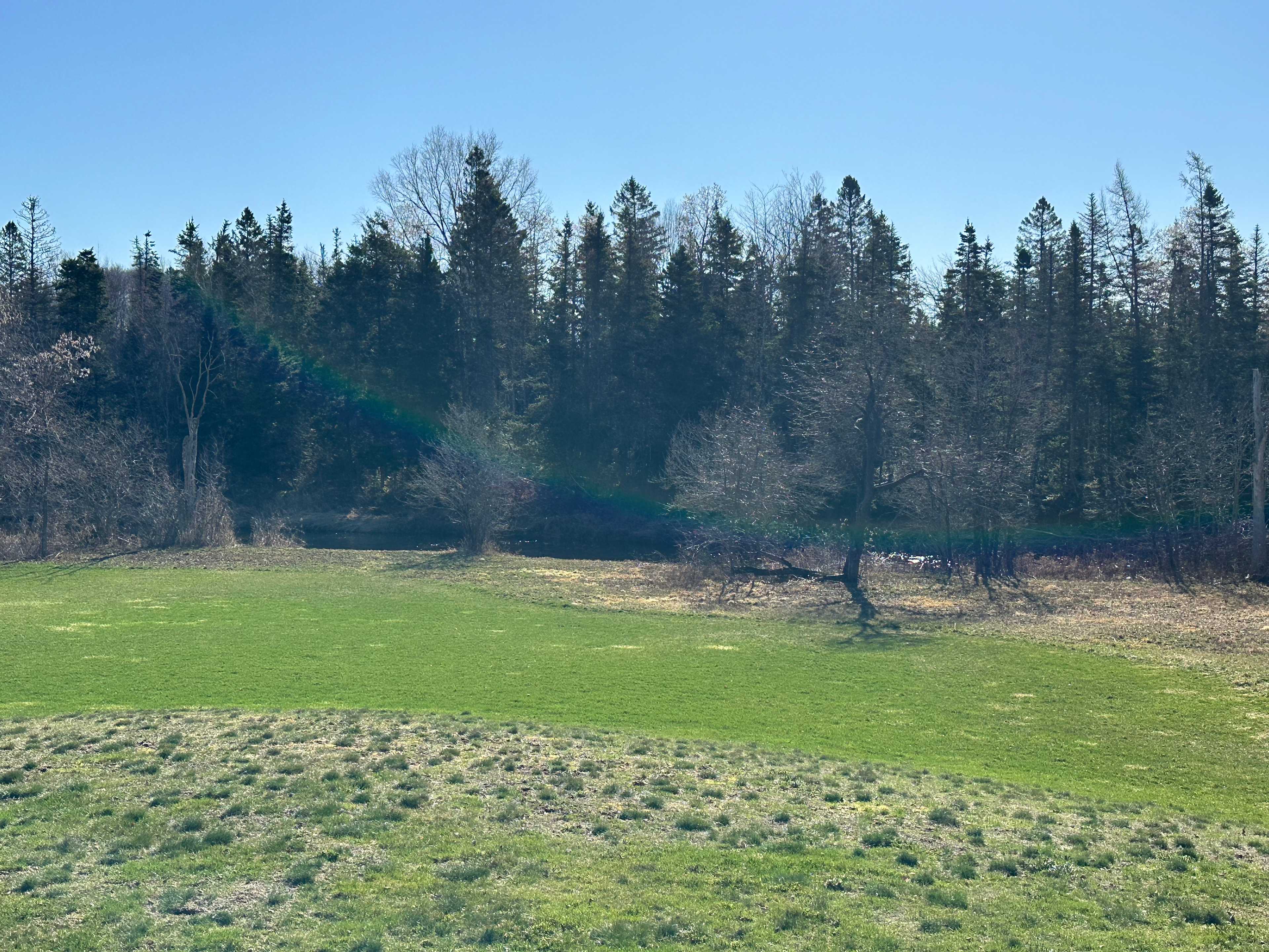 Riley Acres