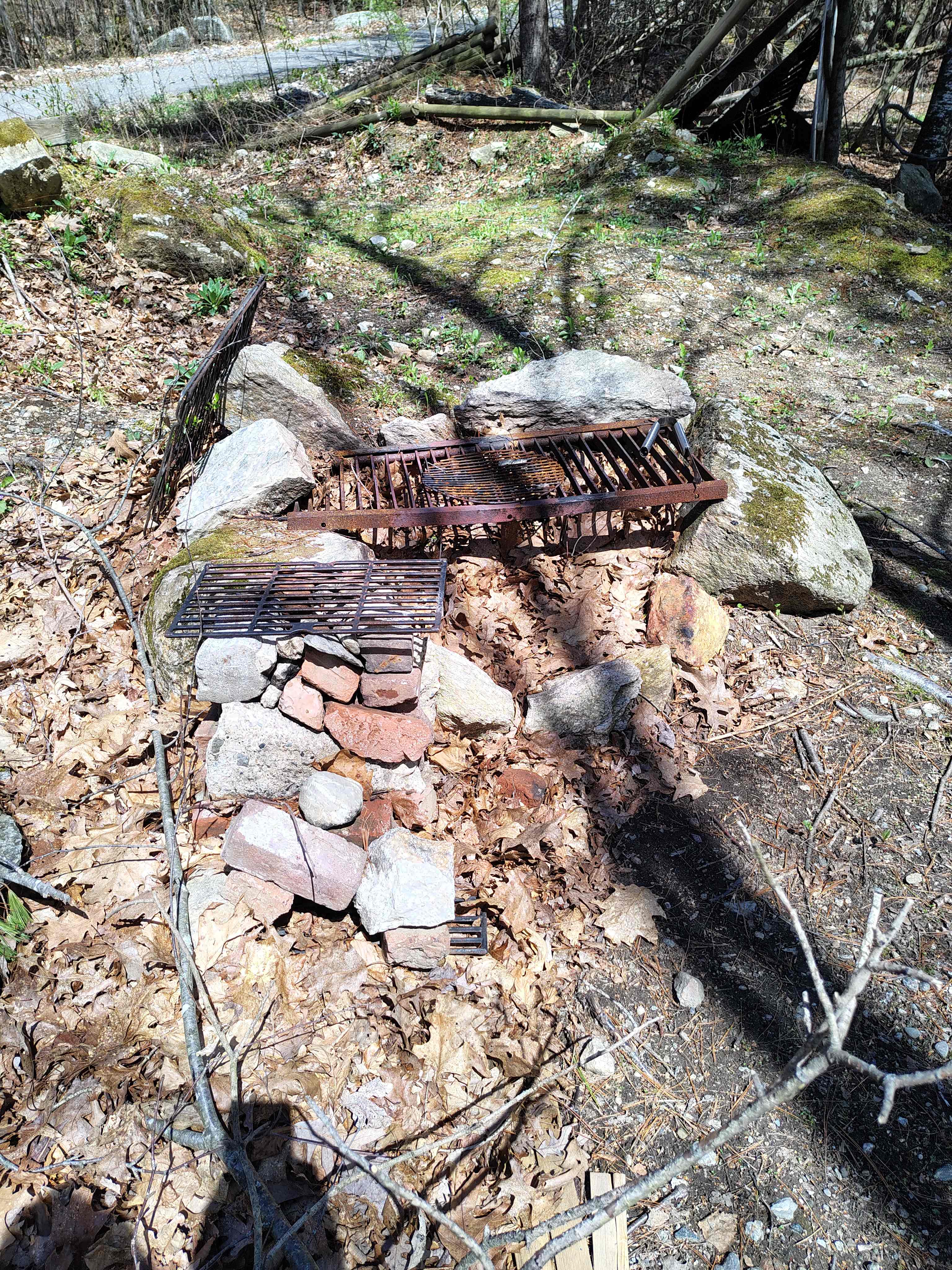 Picture of the site