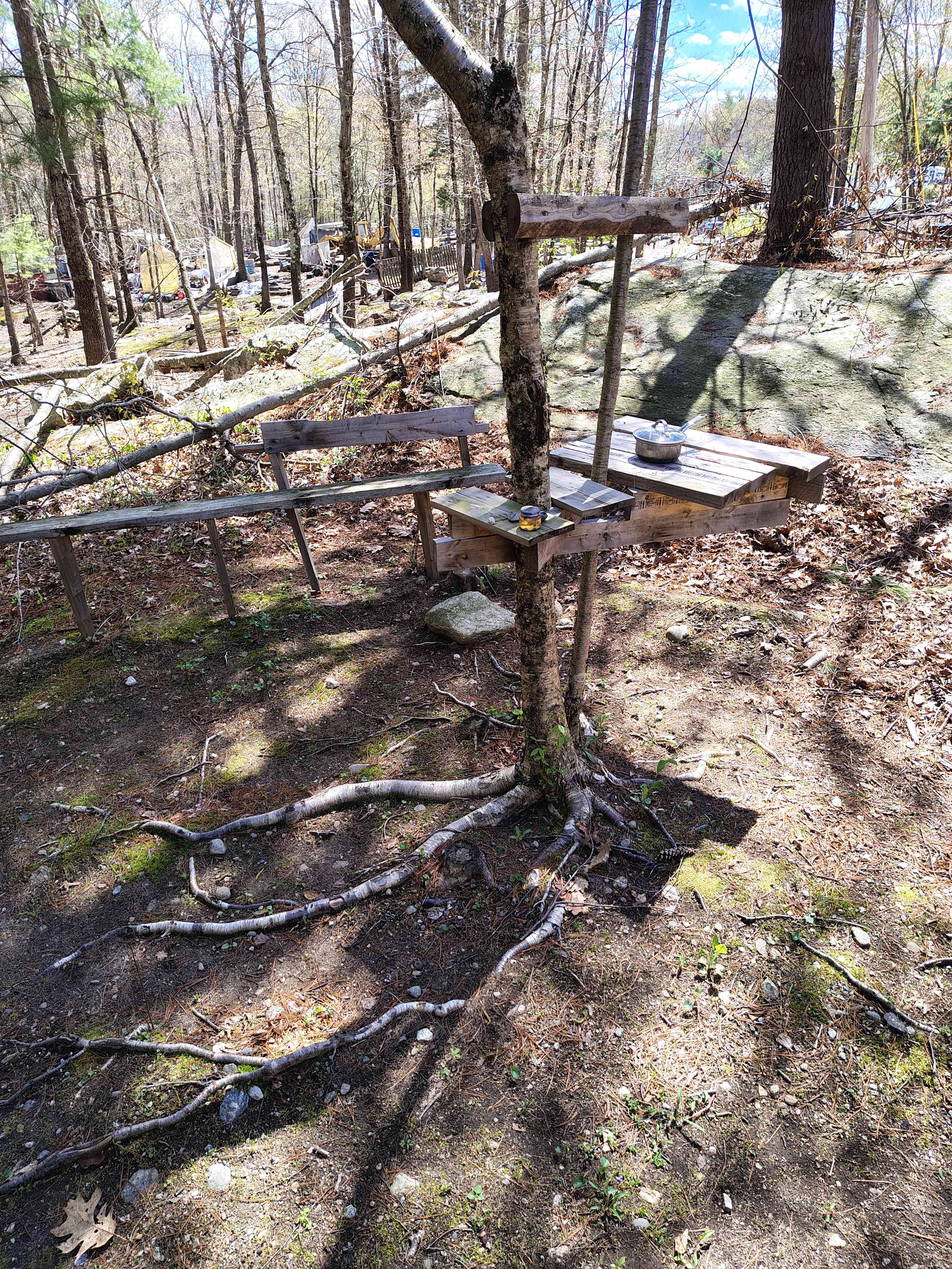 Picture of the site