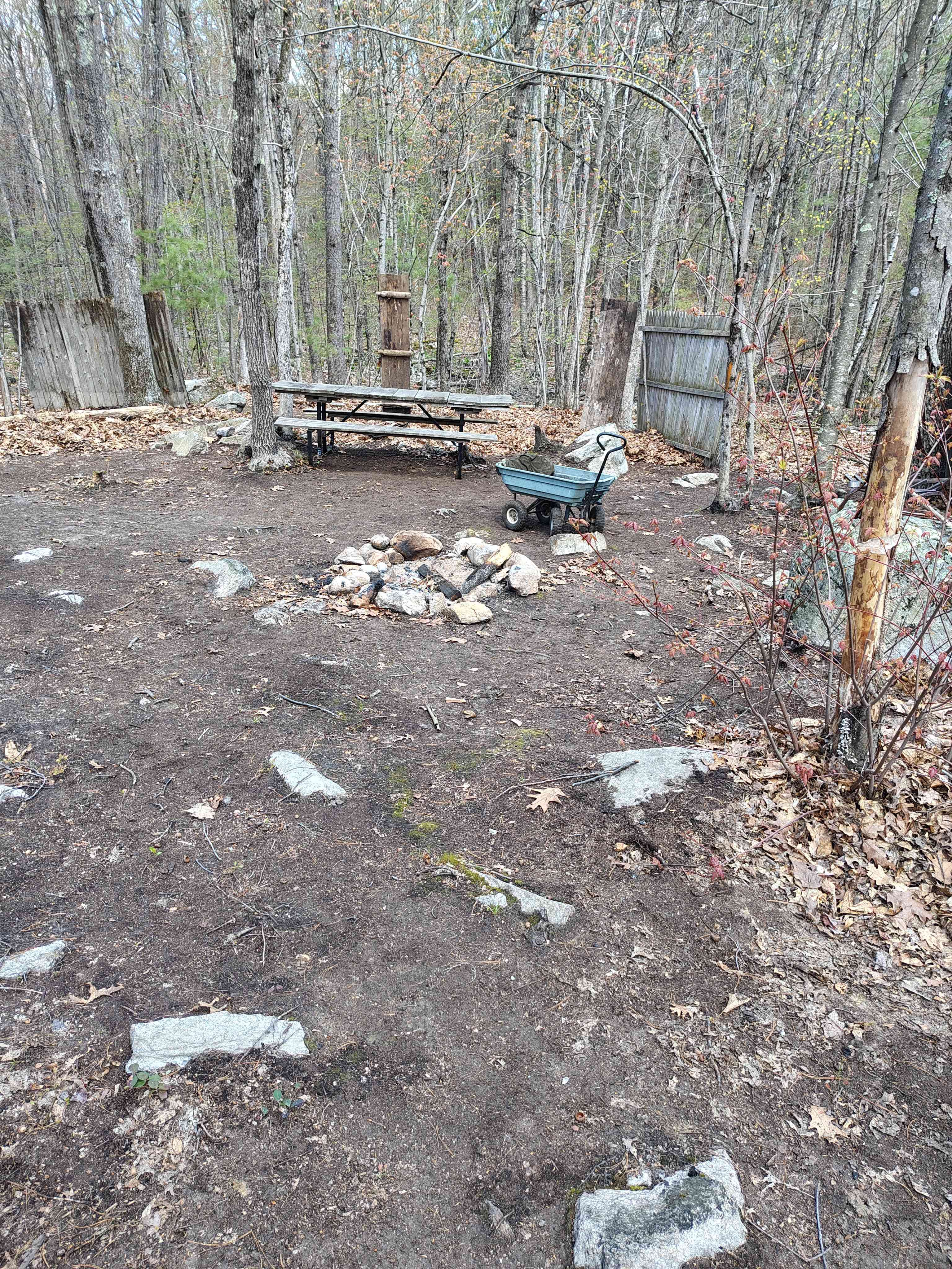 Picture of the site