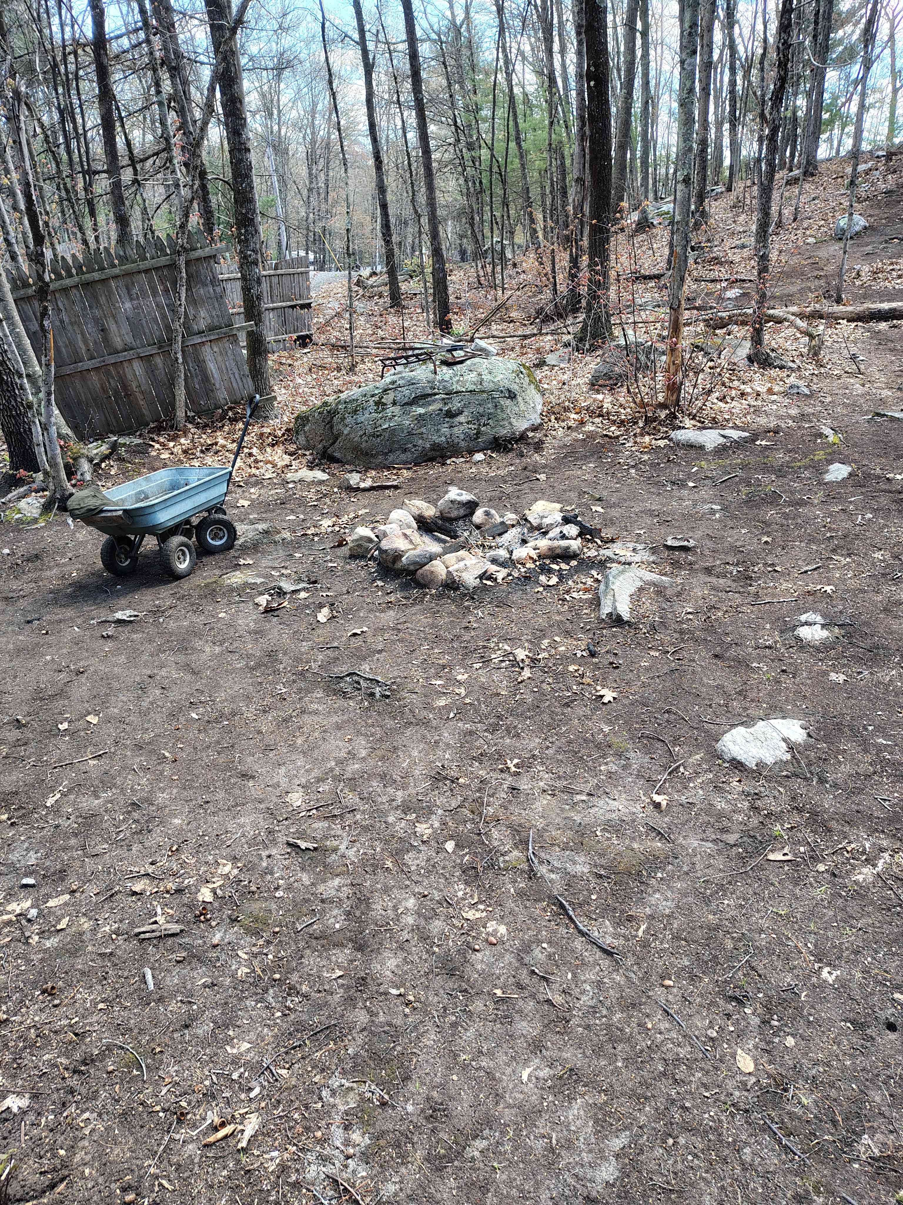 Picture of the site
