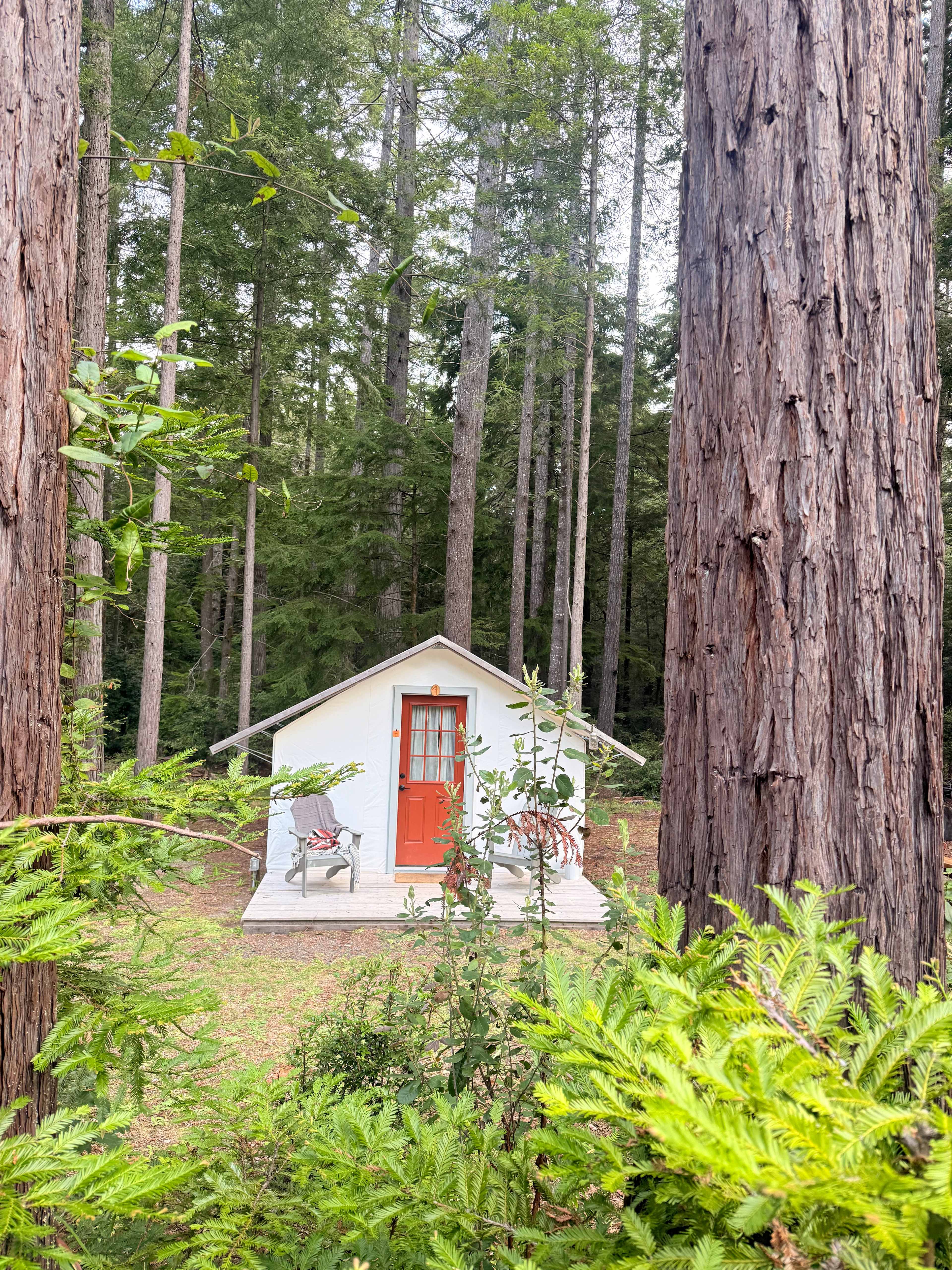 Heartwood Mendocino
