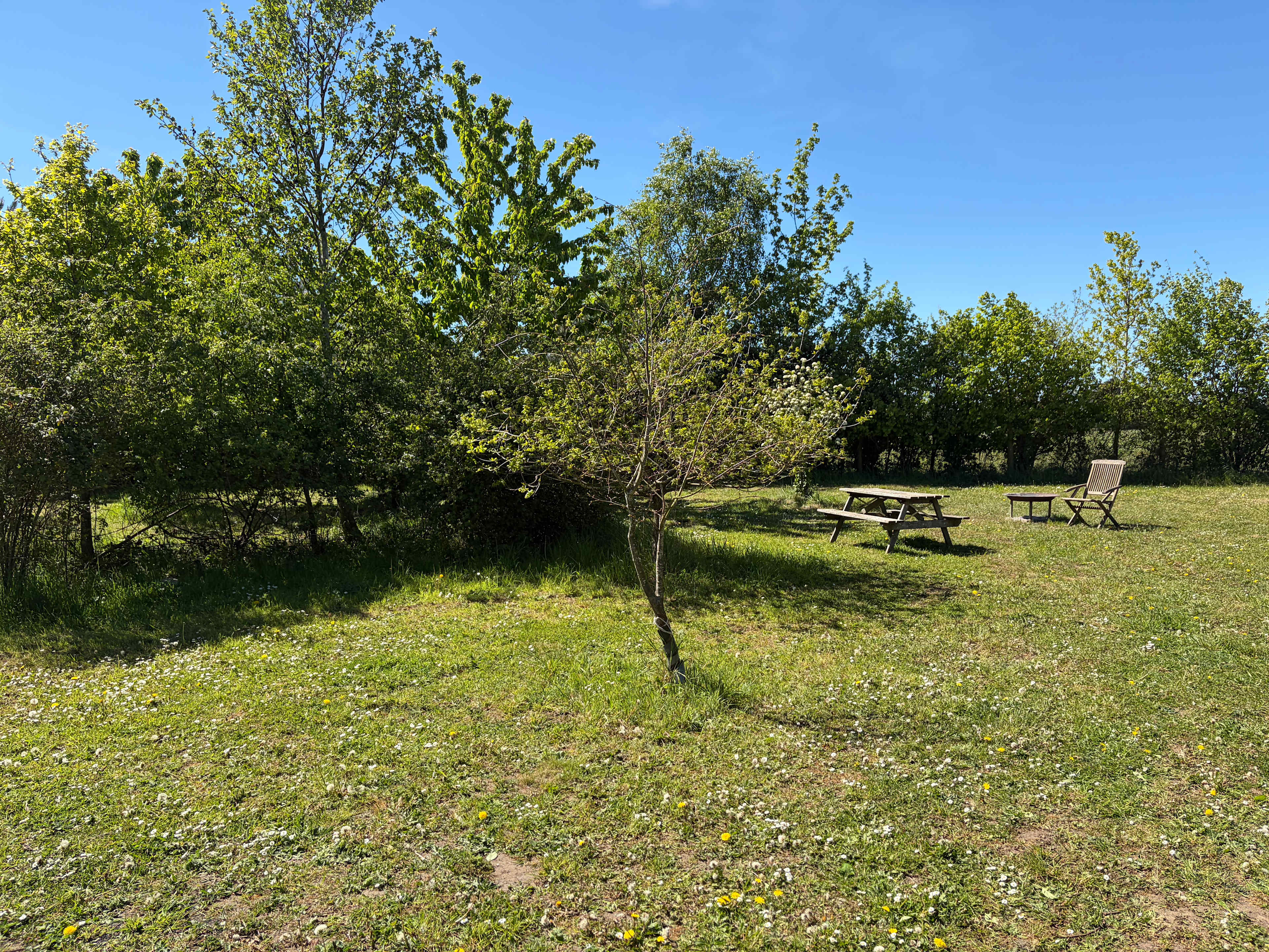 Rosehip Woods Campsite