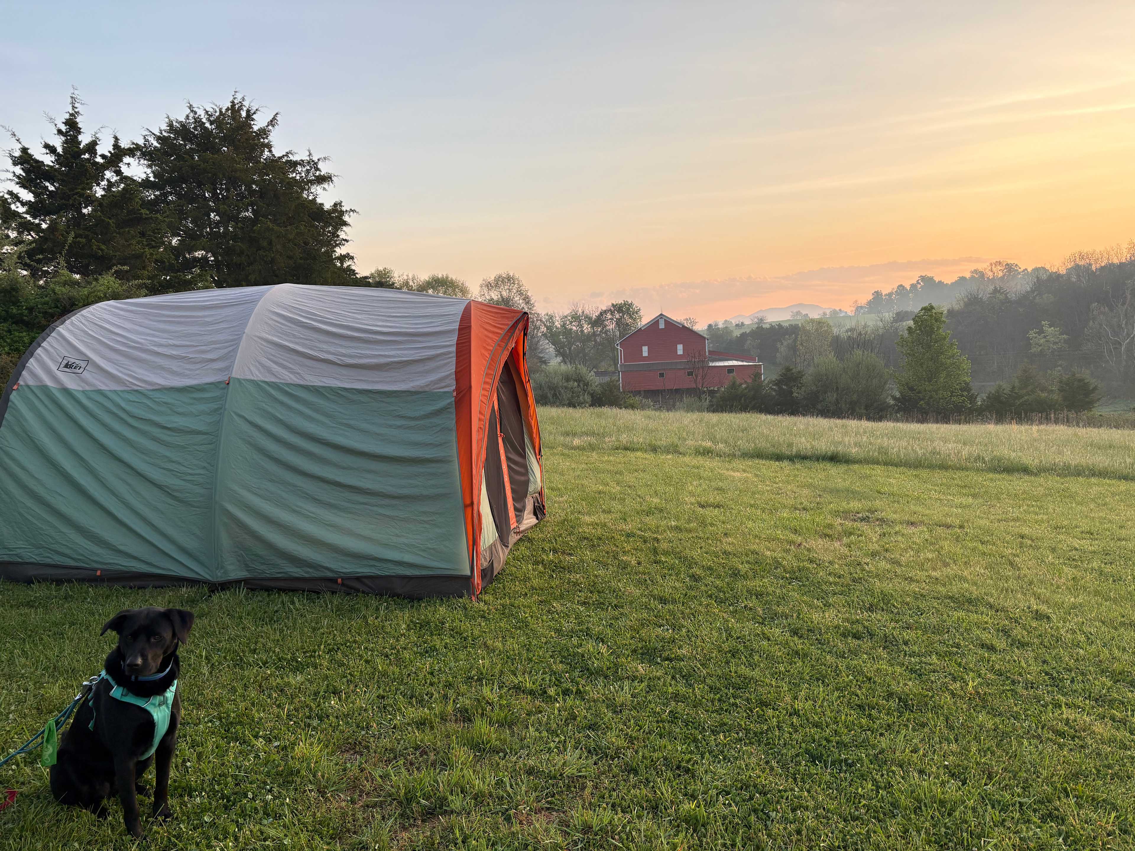Sunshine and Coffee Farm