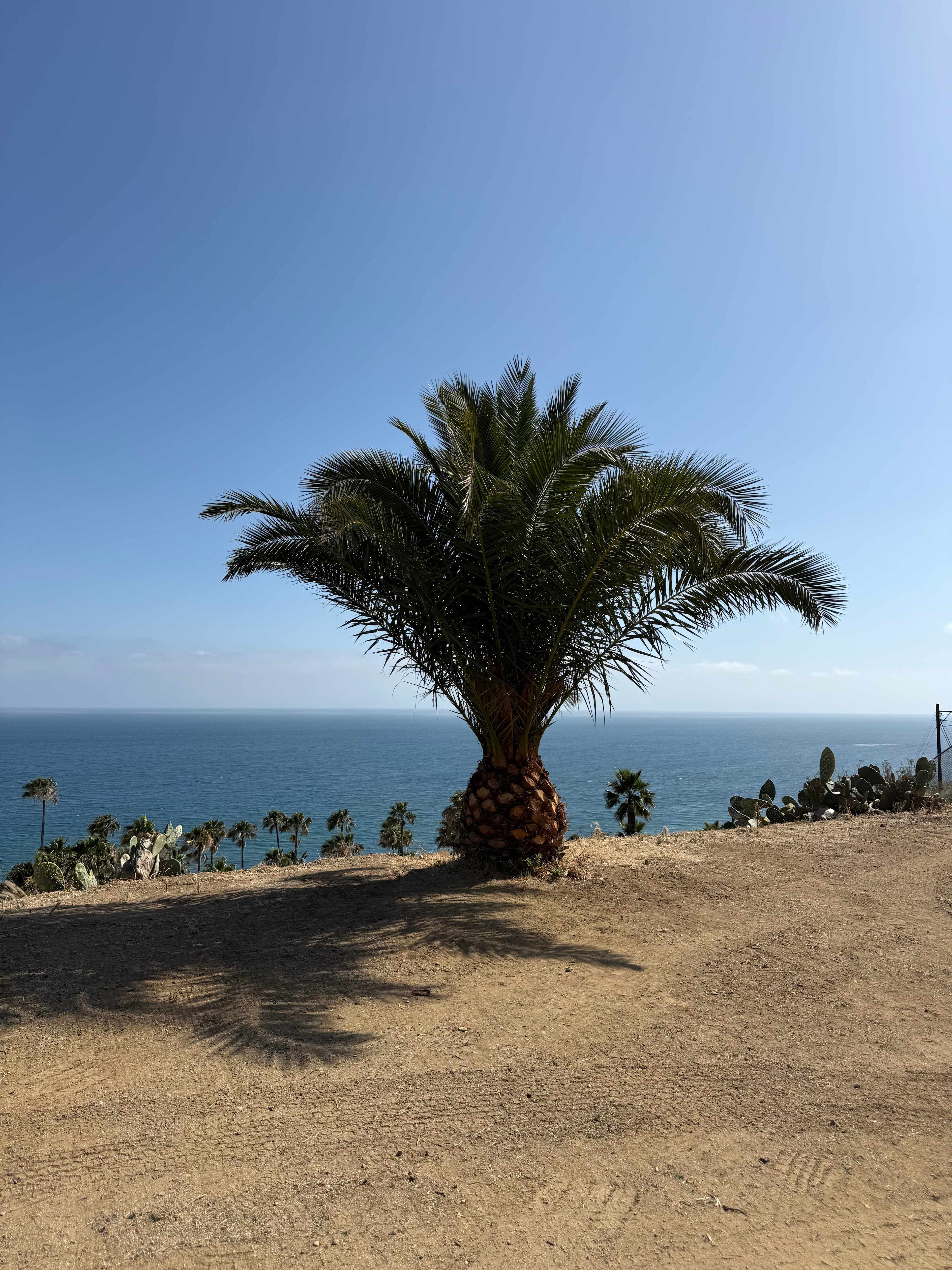 Malibu RV Park
