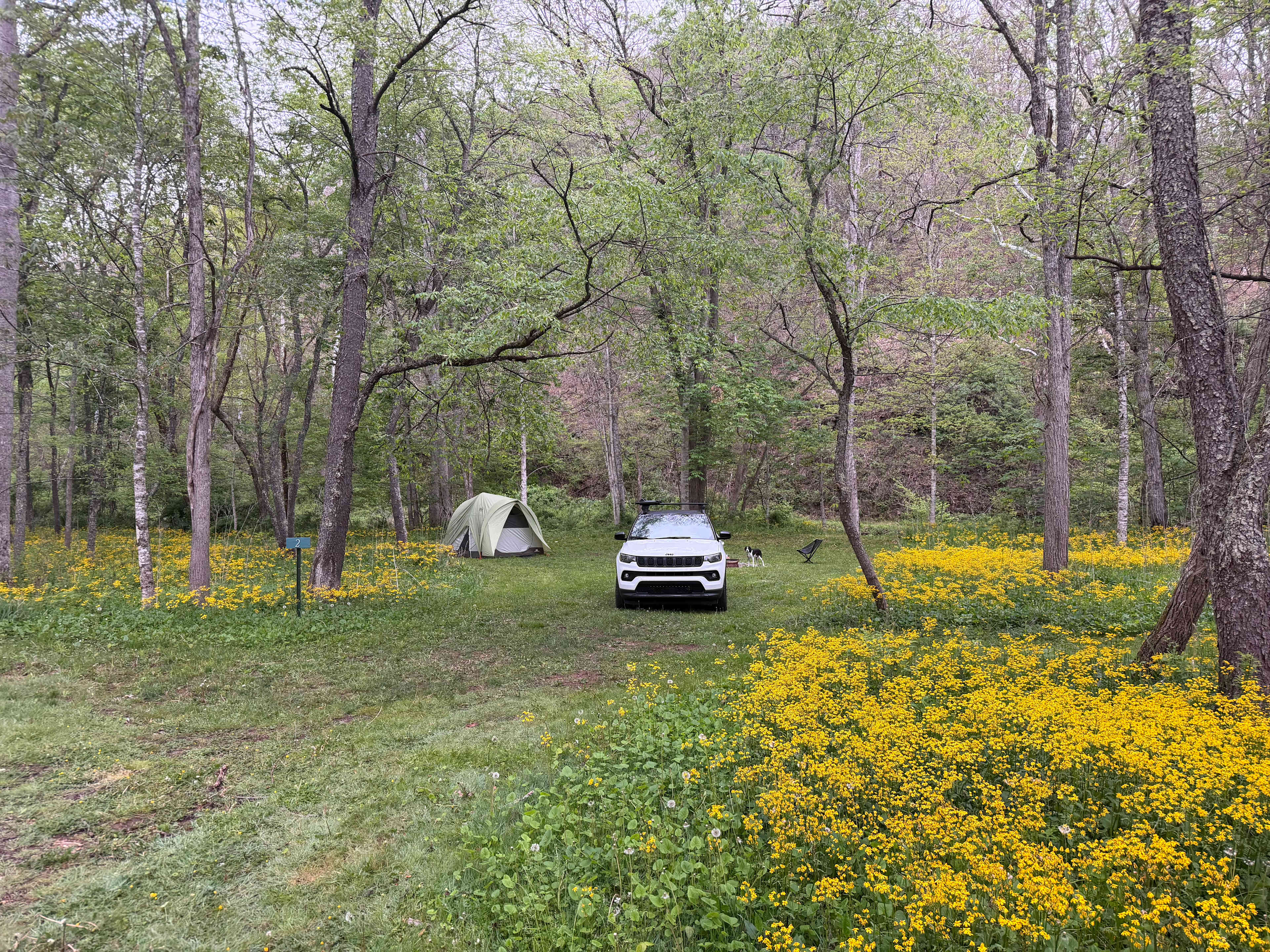 Site 2
