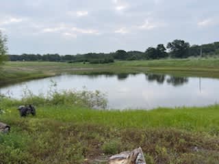 Coyote Creek Farm