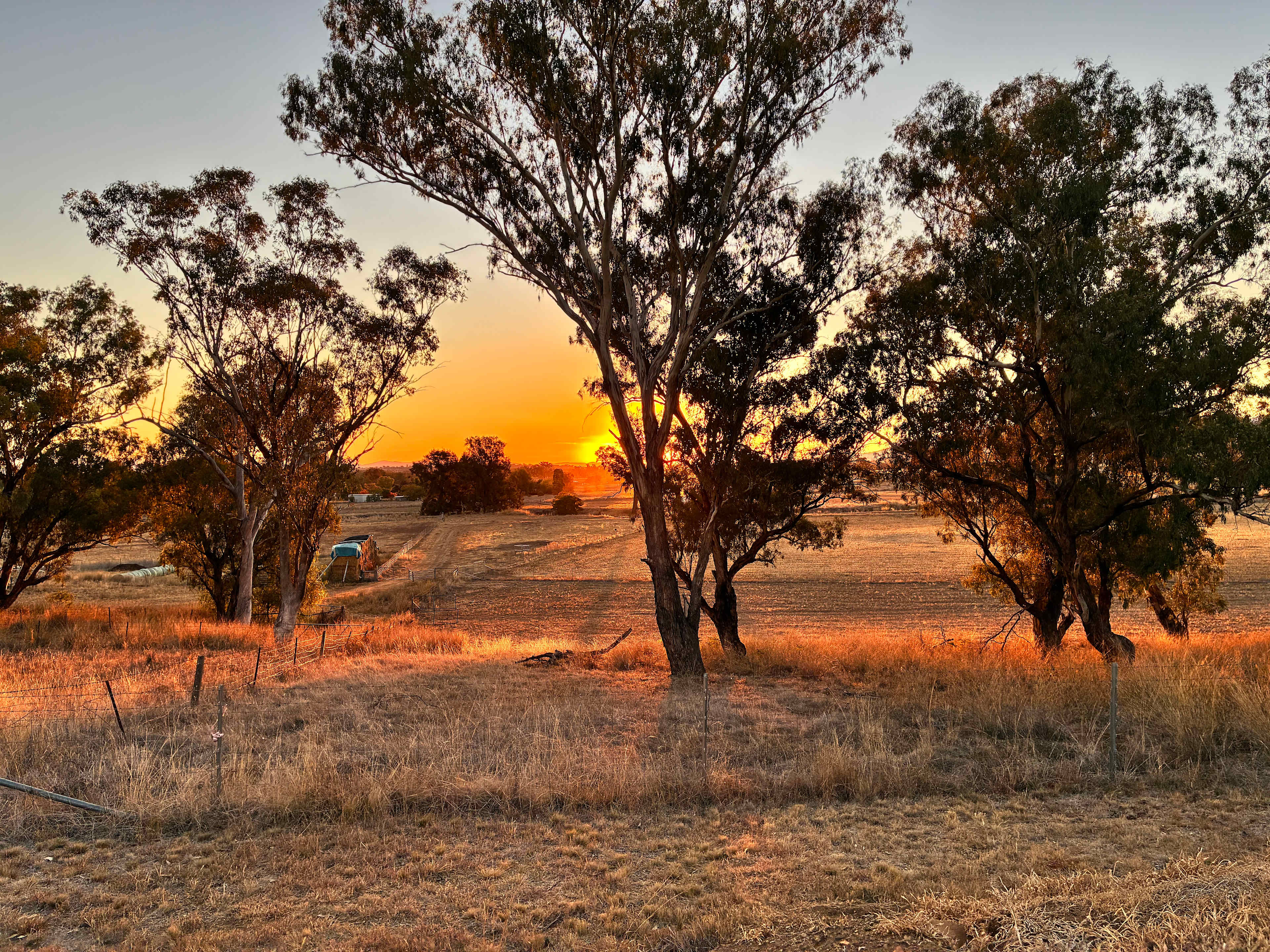 Oakey Farm