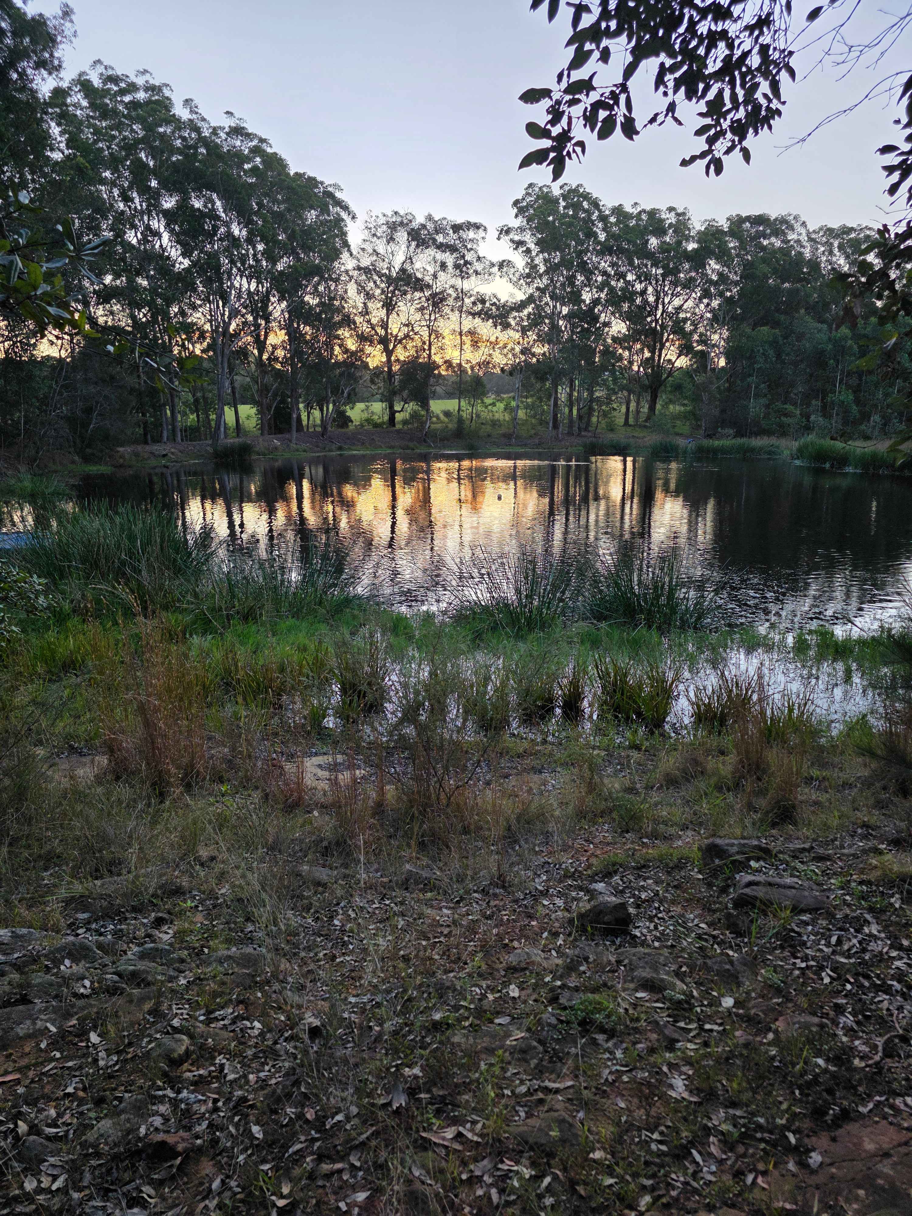 The Dam. 