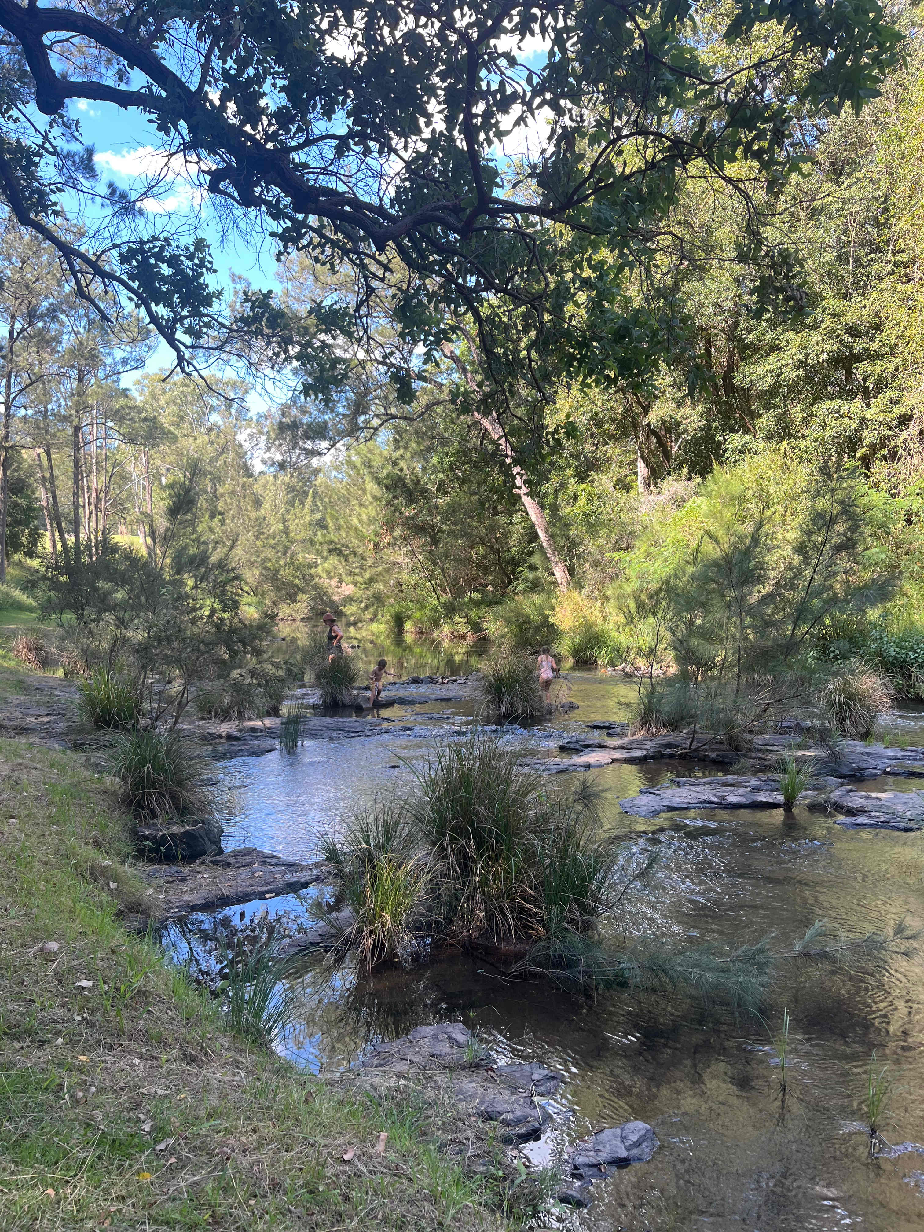 Andrew Drynan Park-Camp with a view