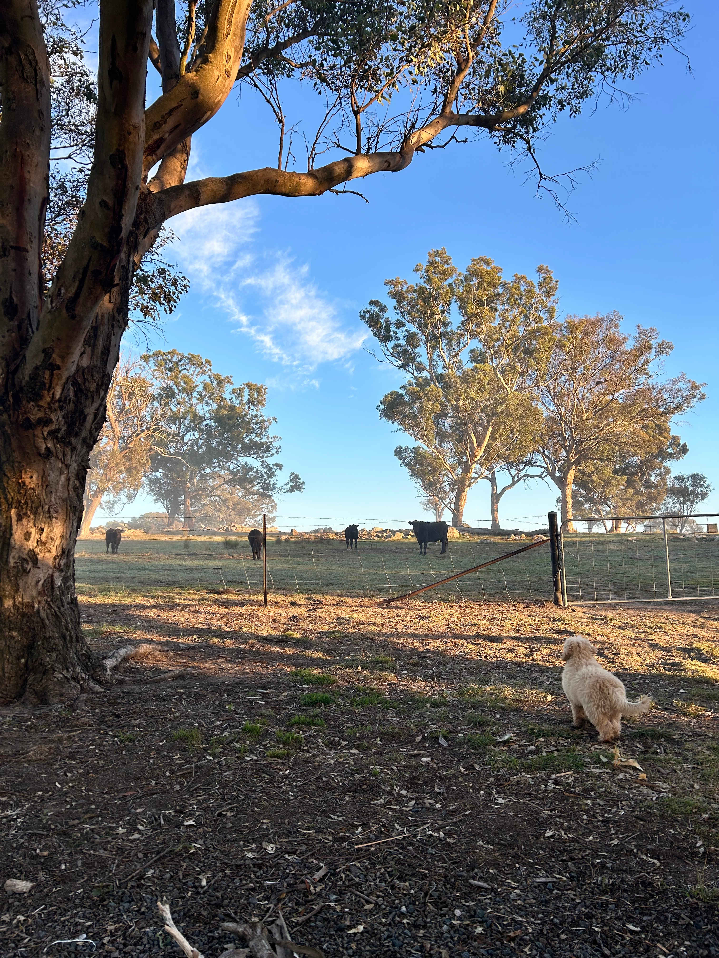 Coots Creek Campground