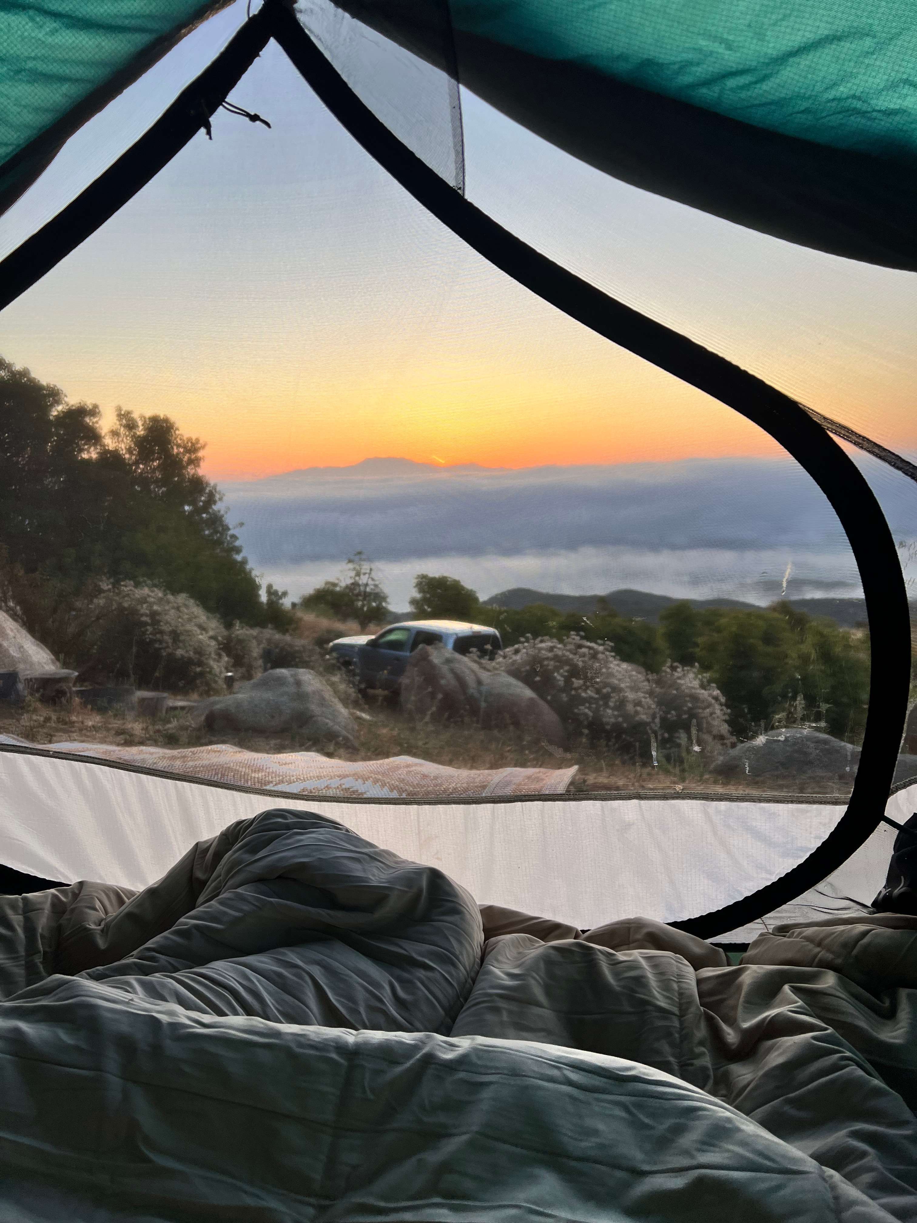 Zephyr Mountain Avocado Grove