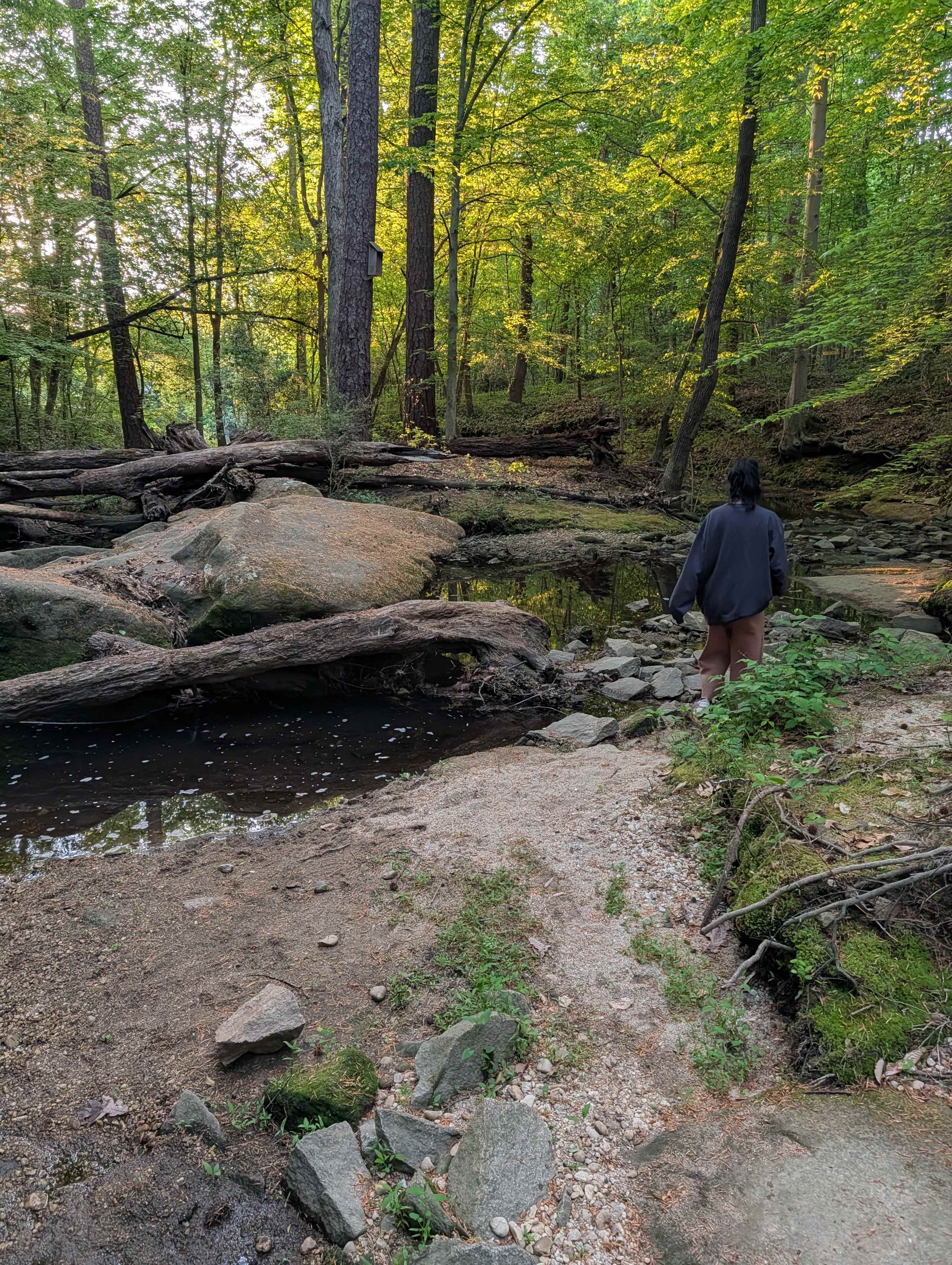 City Camp on Reedy Creek