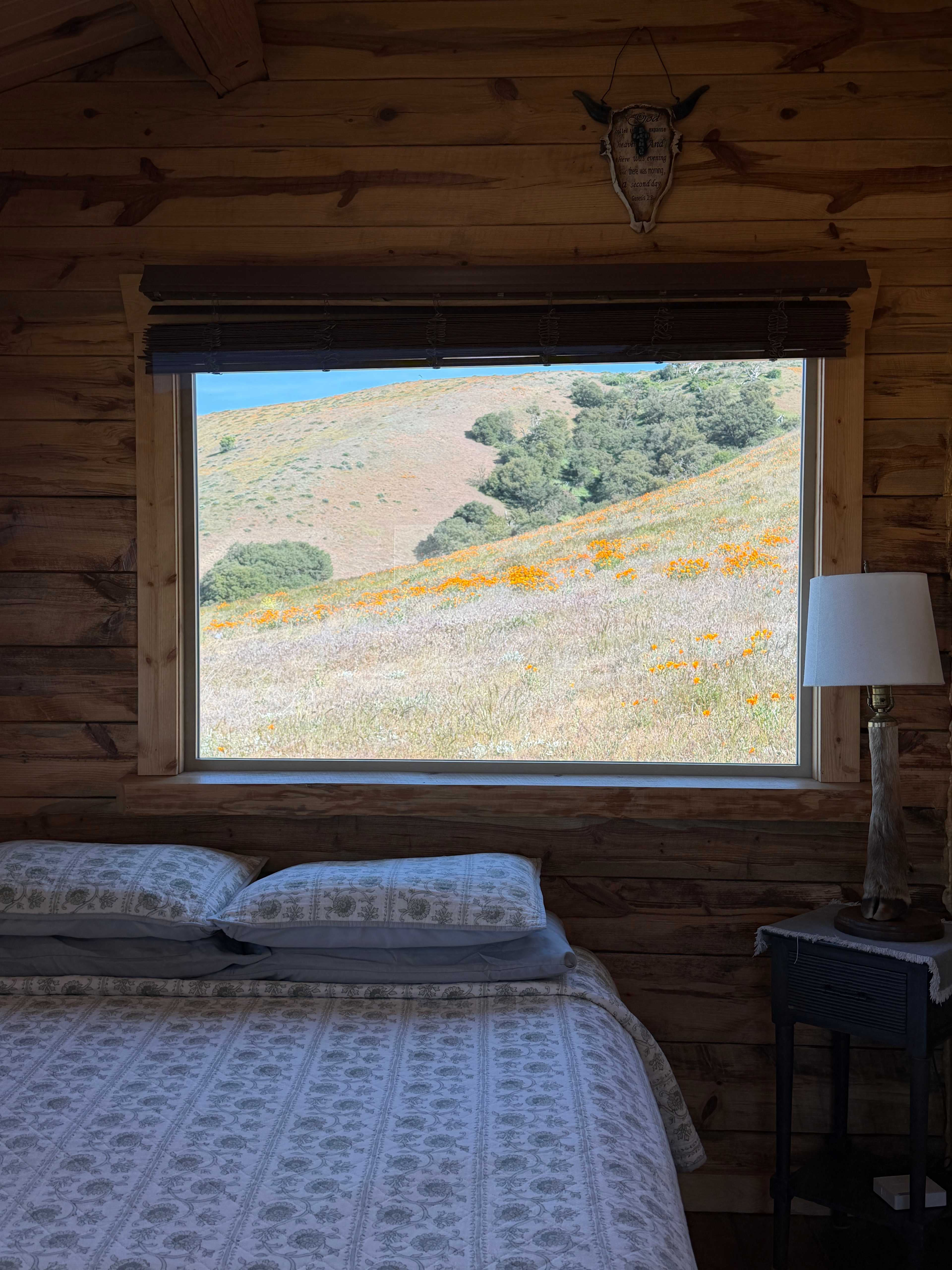 Lone Juniper Ranch